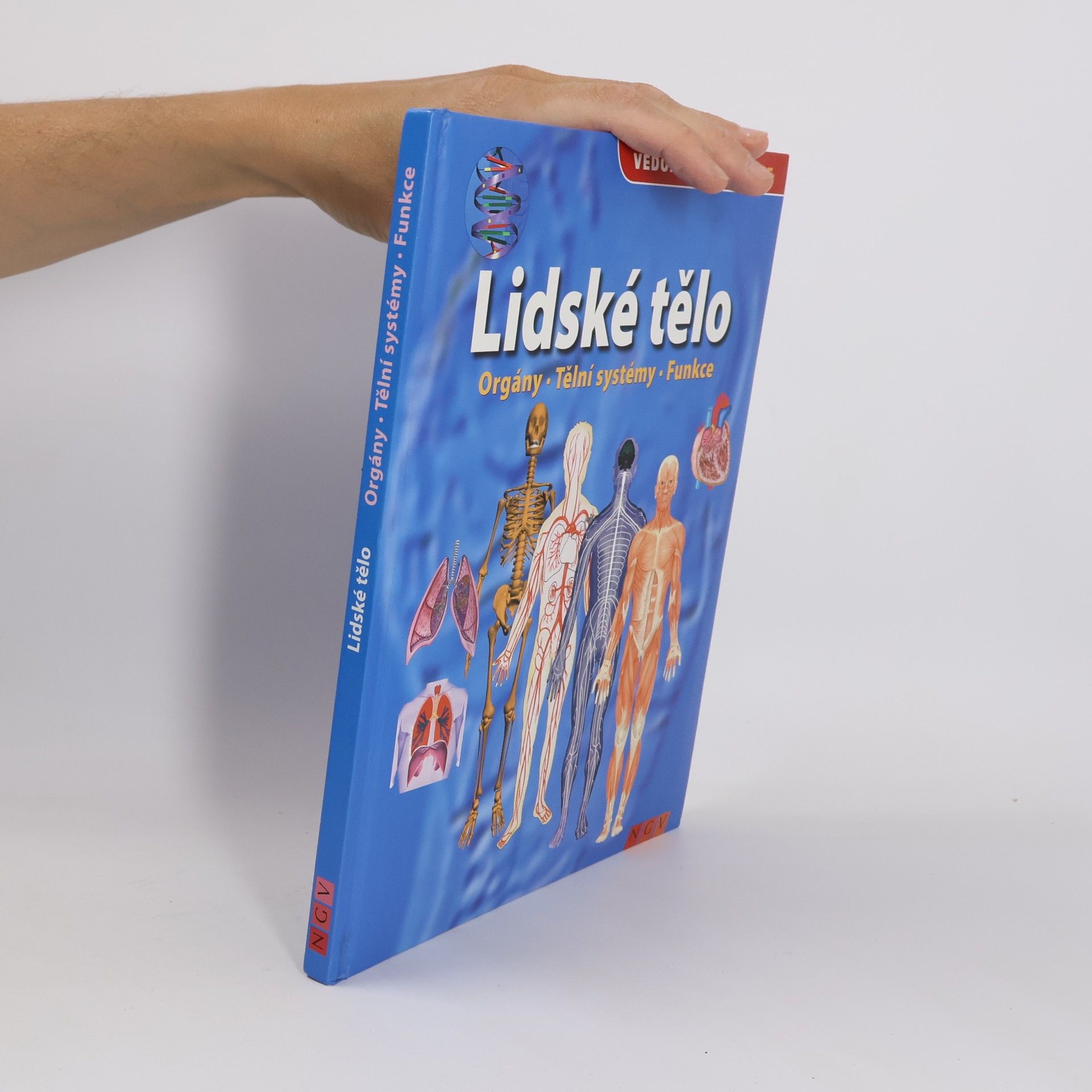 Kolektiv autorů Lidské tělo. Orgány. Tělní systémy. Funkce