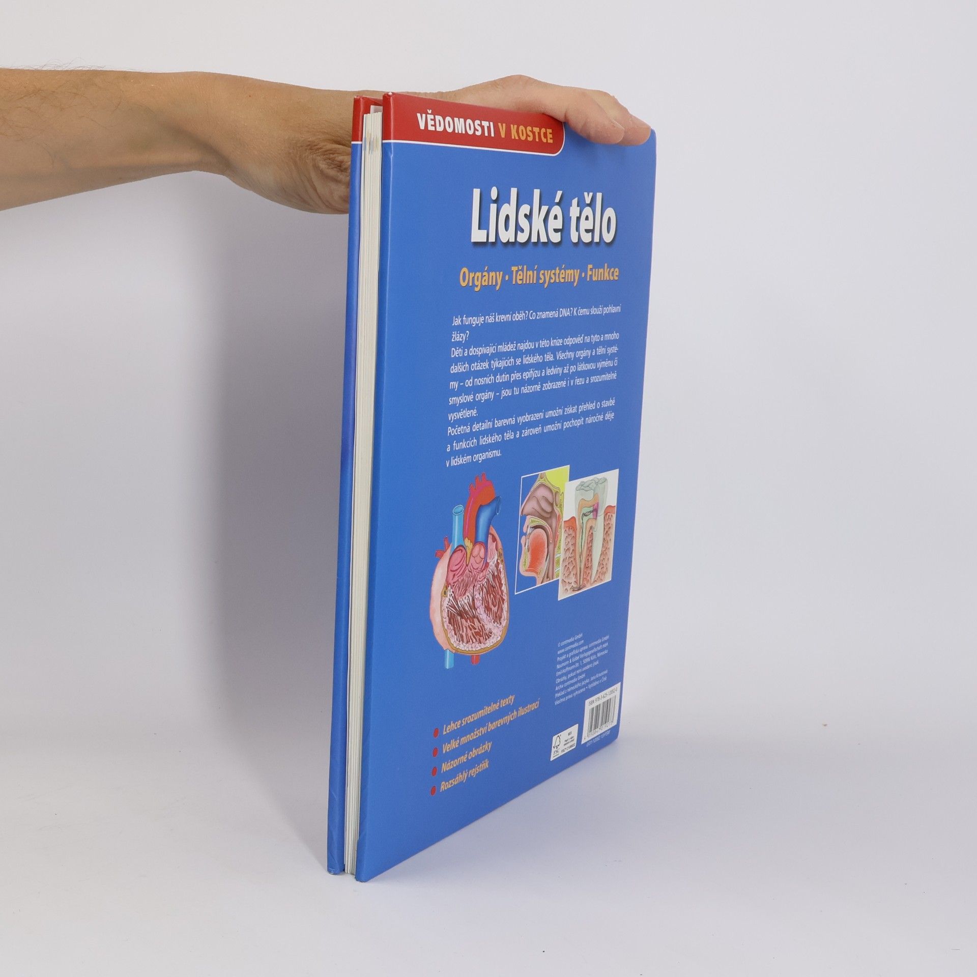 Auteurscollectief Lidské tělo. Orgány. Tělní systémy. Funkce