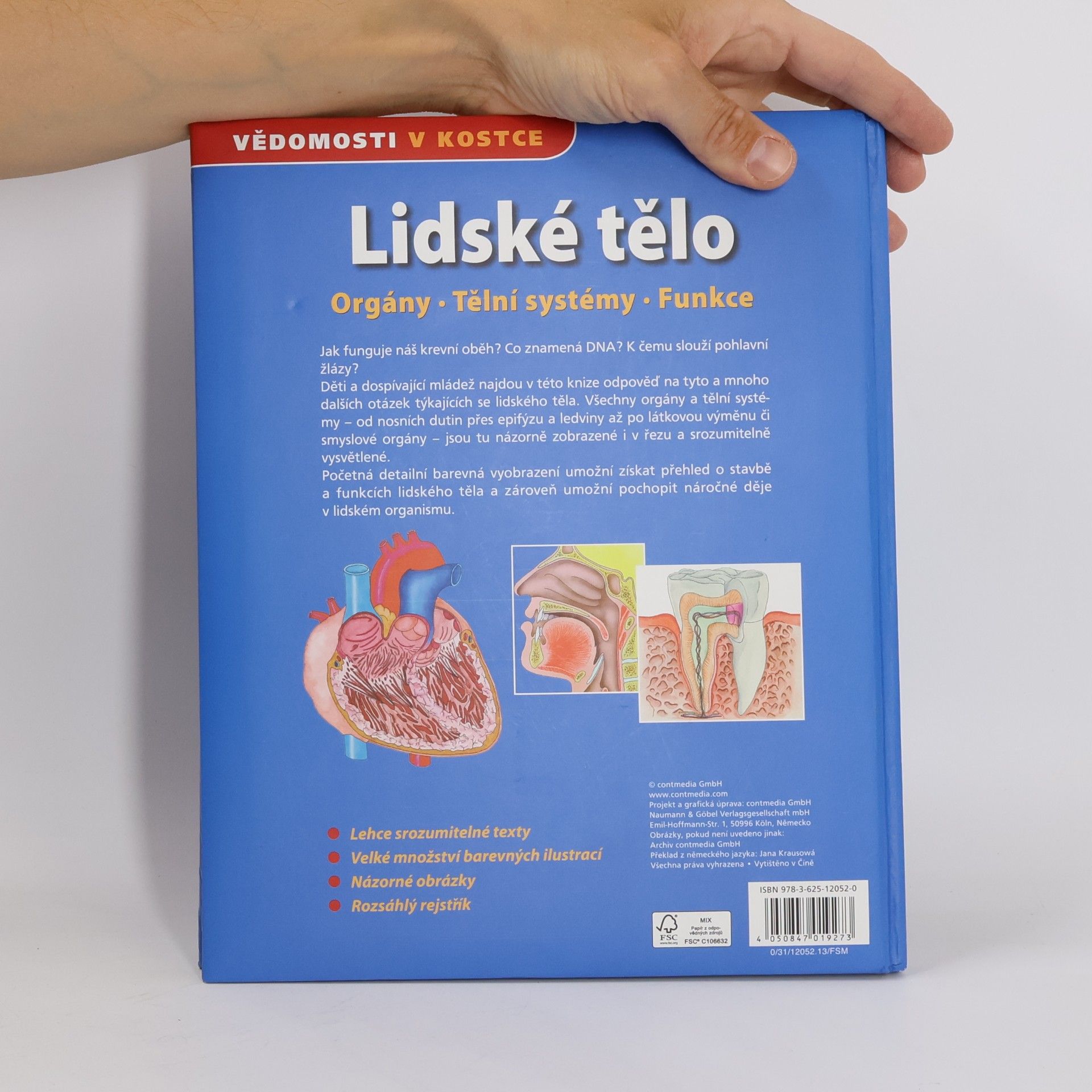 Auteurscollectief Lidské tělo. Orgány. Tělní systémy. Funkce