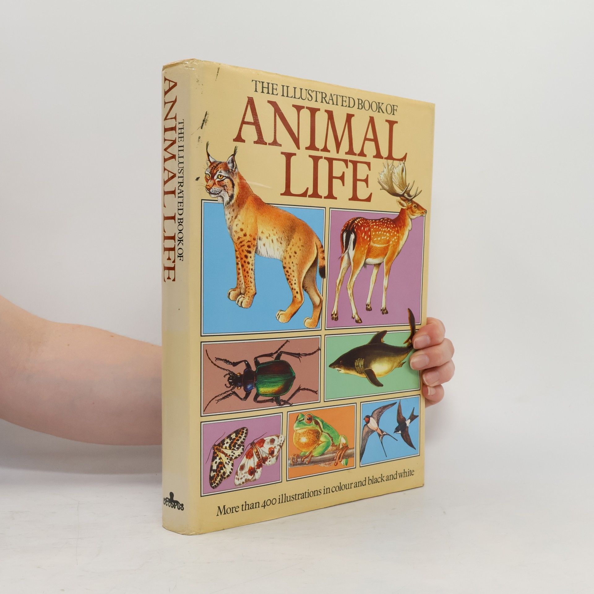 Jana Horáčková The Illustrated Book of Animal Life