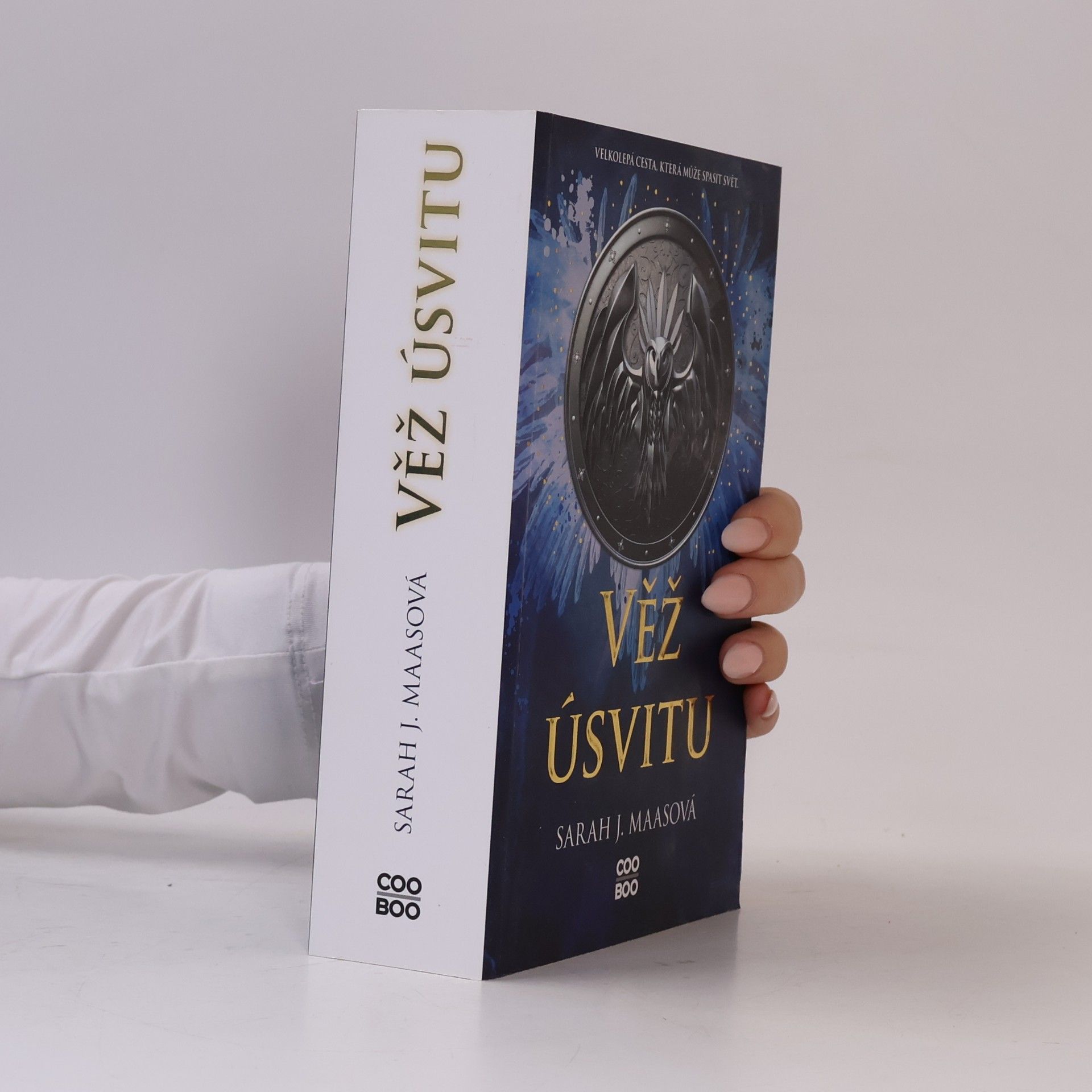Sarah J. Maasová Věž úsvitu