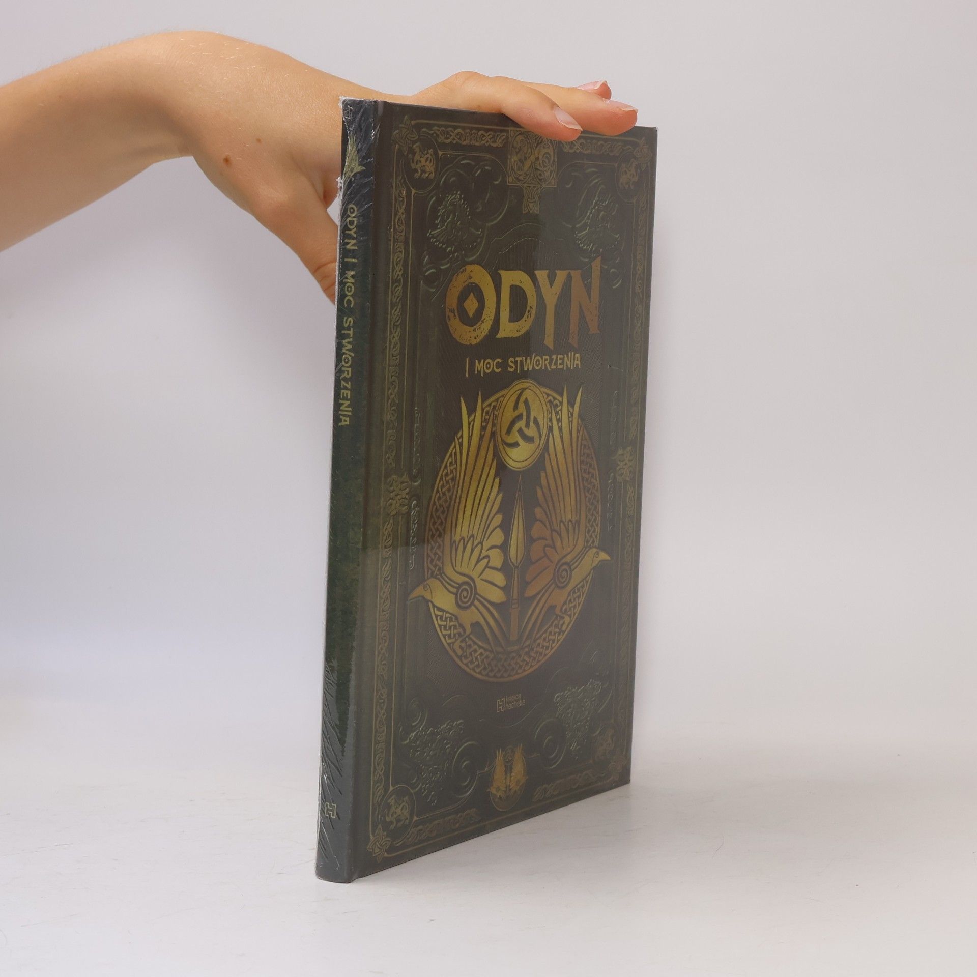 Kolektiv autorů Odyn i moc stworzenia
