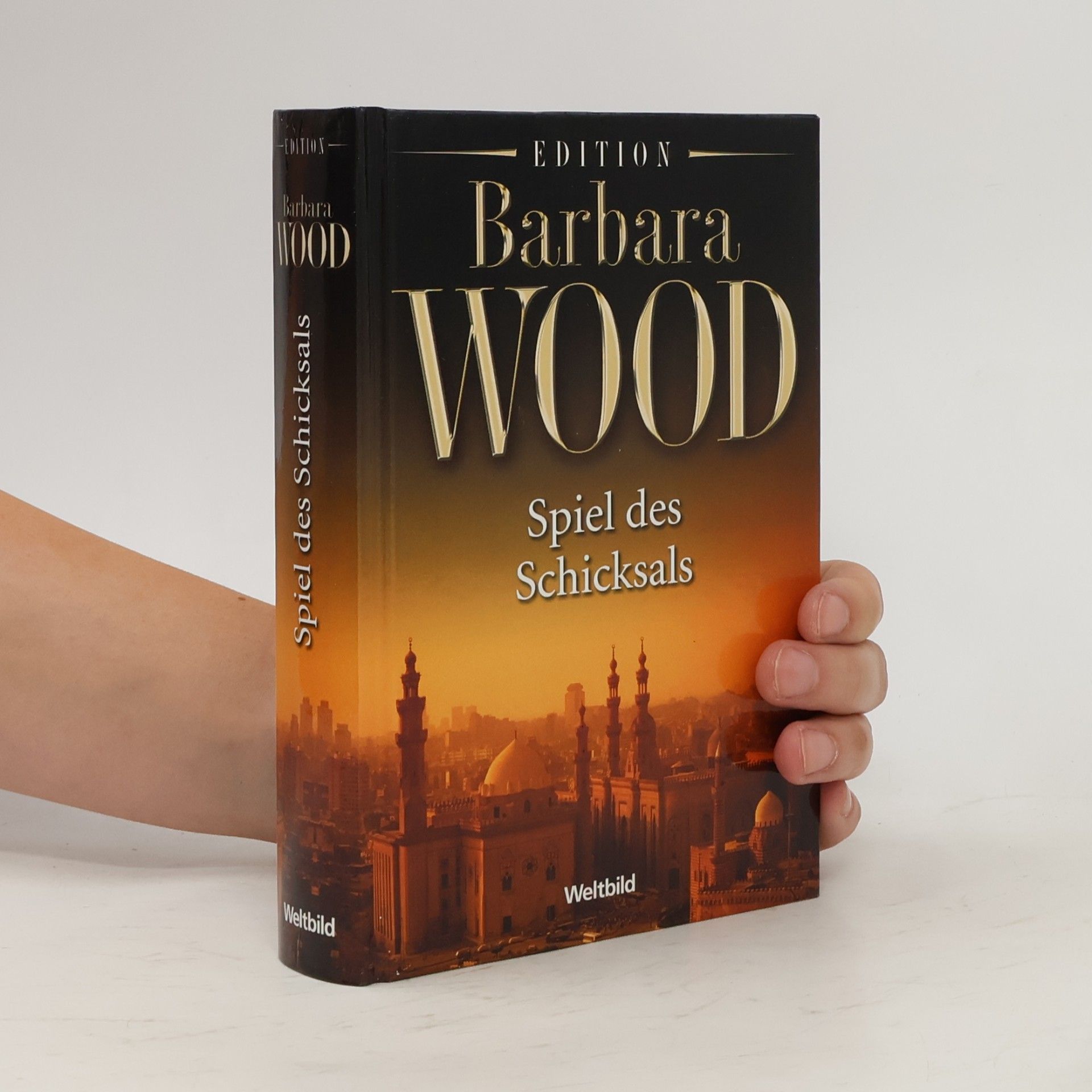 Barbara Wood Spiel des Schicksals