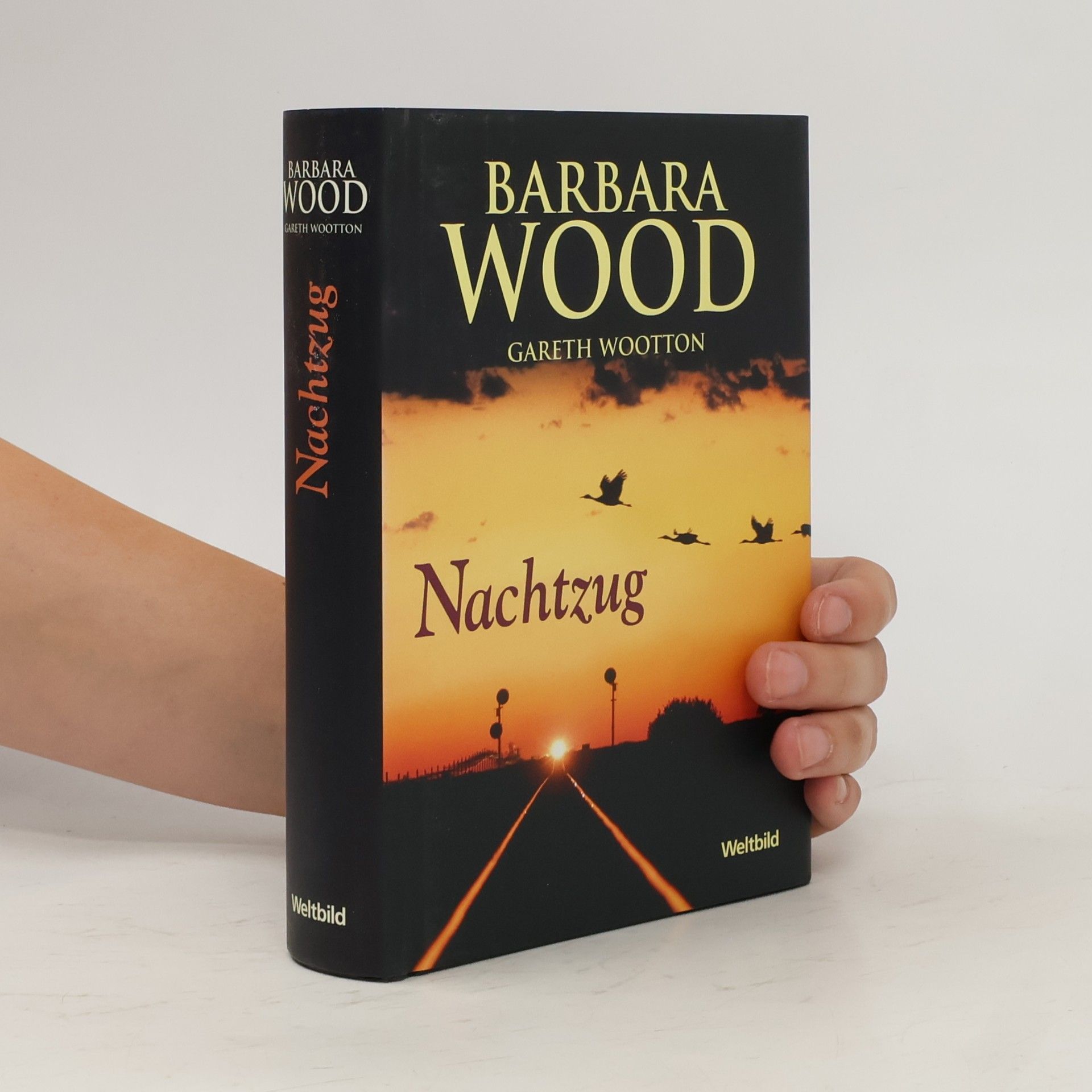 Barbara Wood Nachtzug