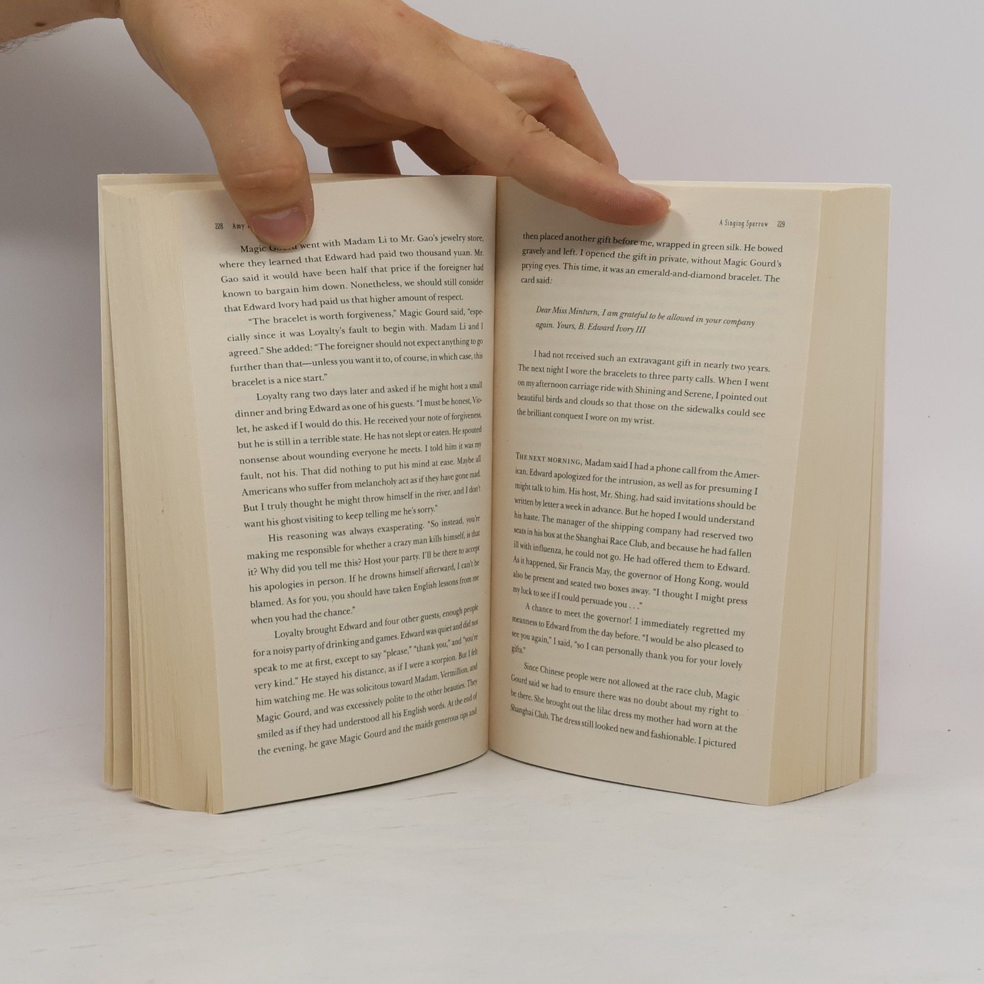 Amy Tan The Valley of Amezement