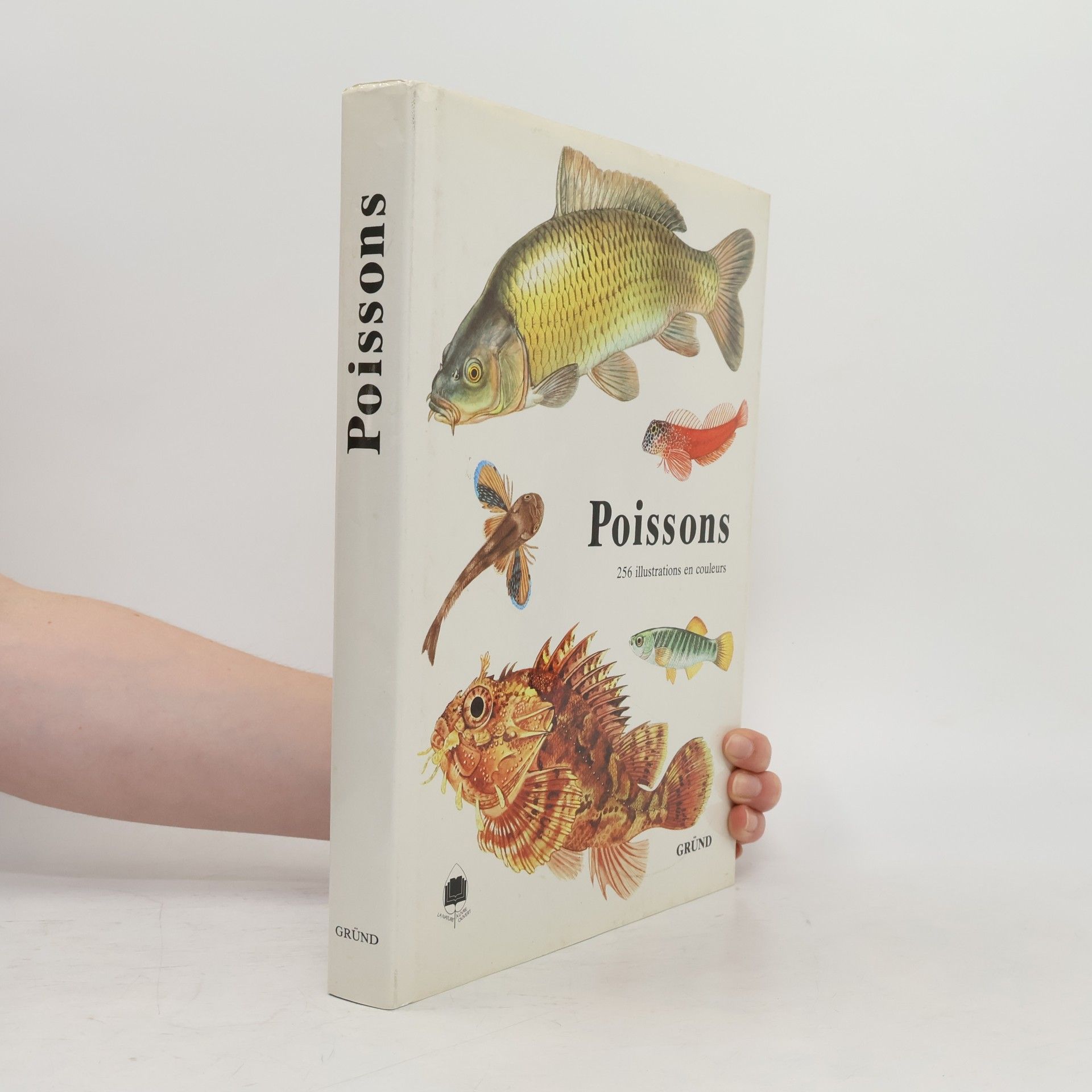 Barbora Faure Poissons