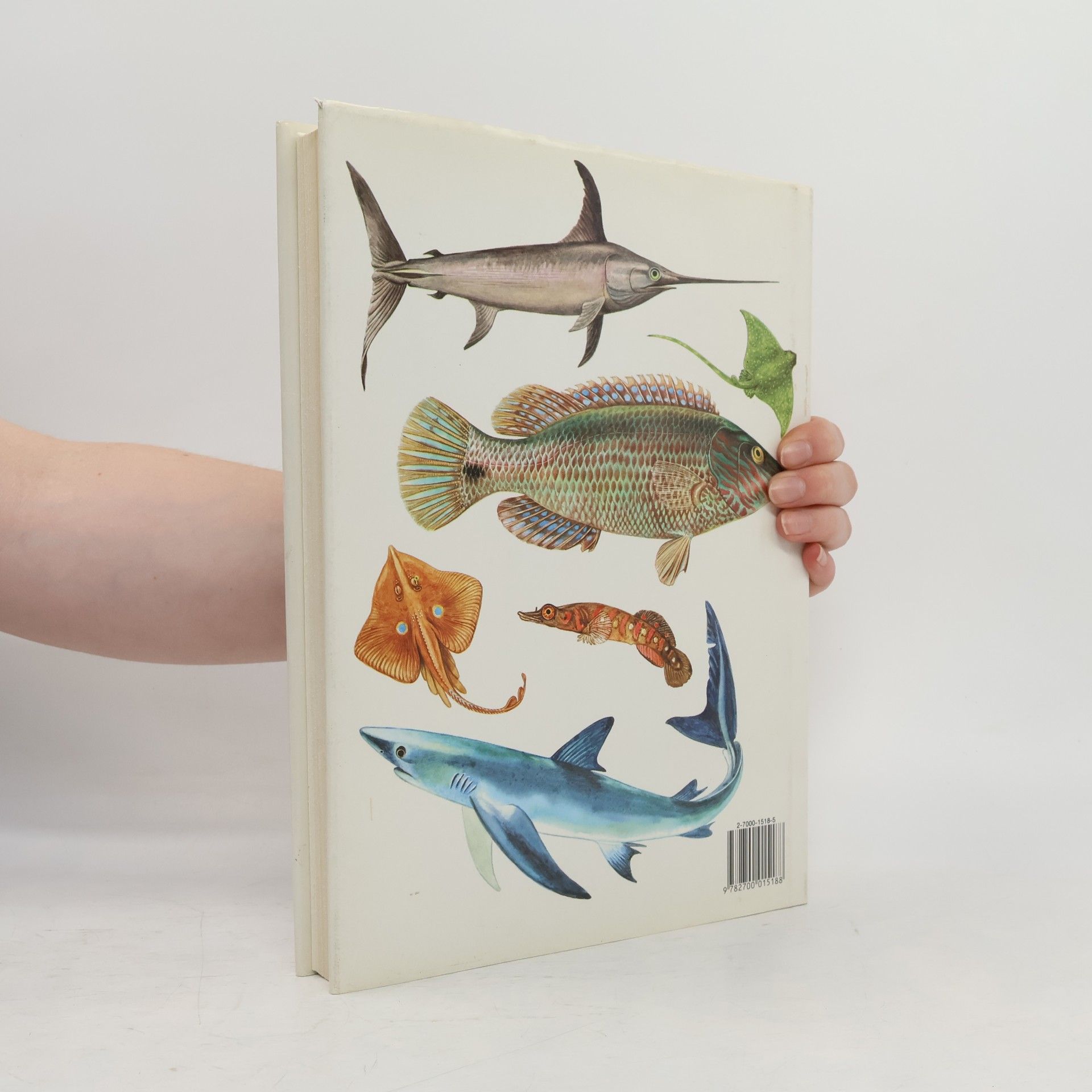 Květoslav Hísek Poissons