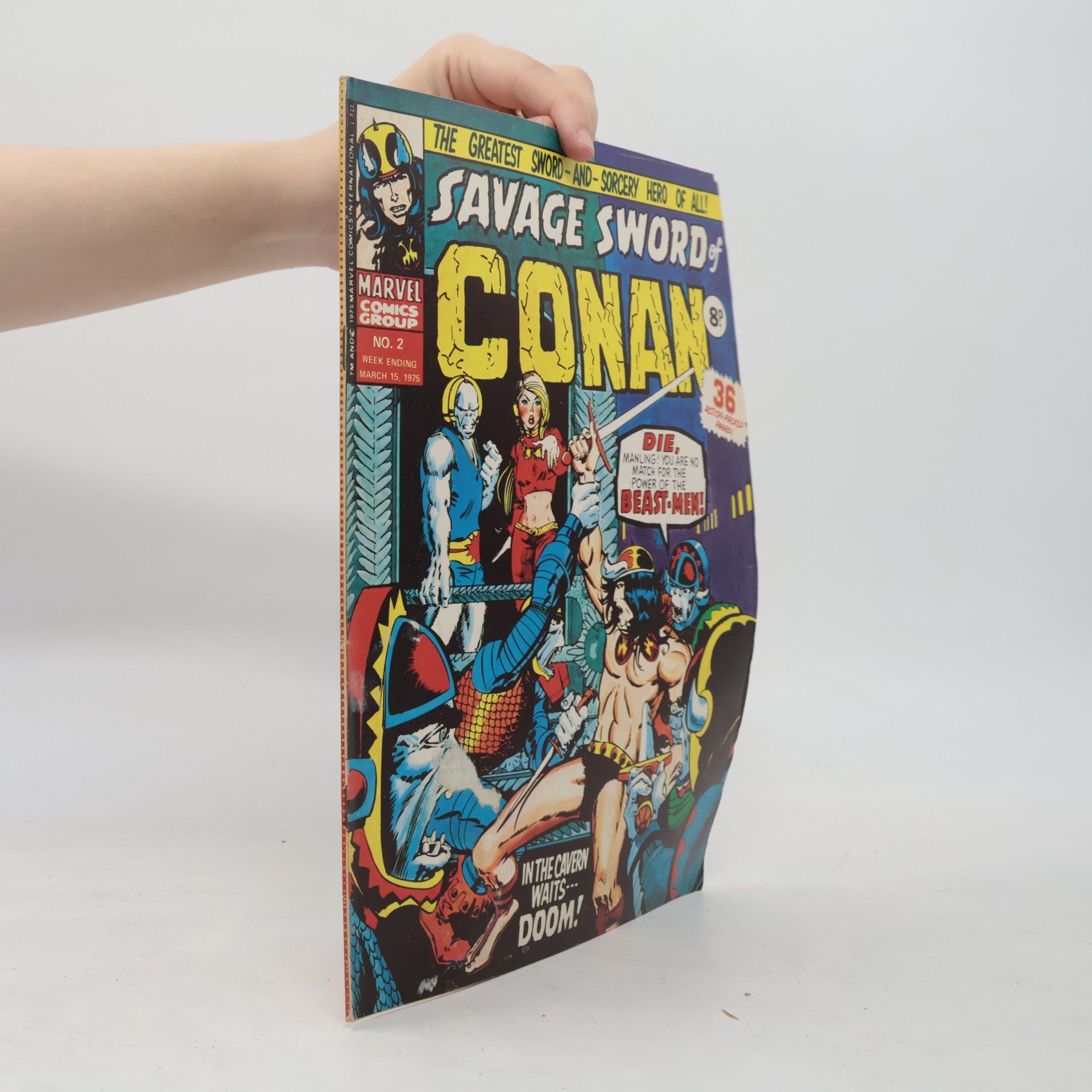 Autorenkollektiv Savage Sword of Conan 2