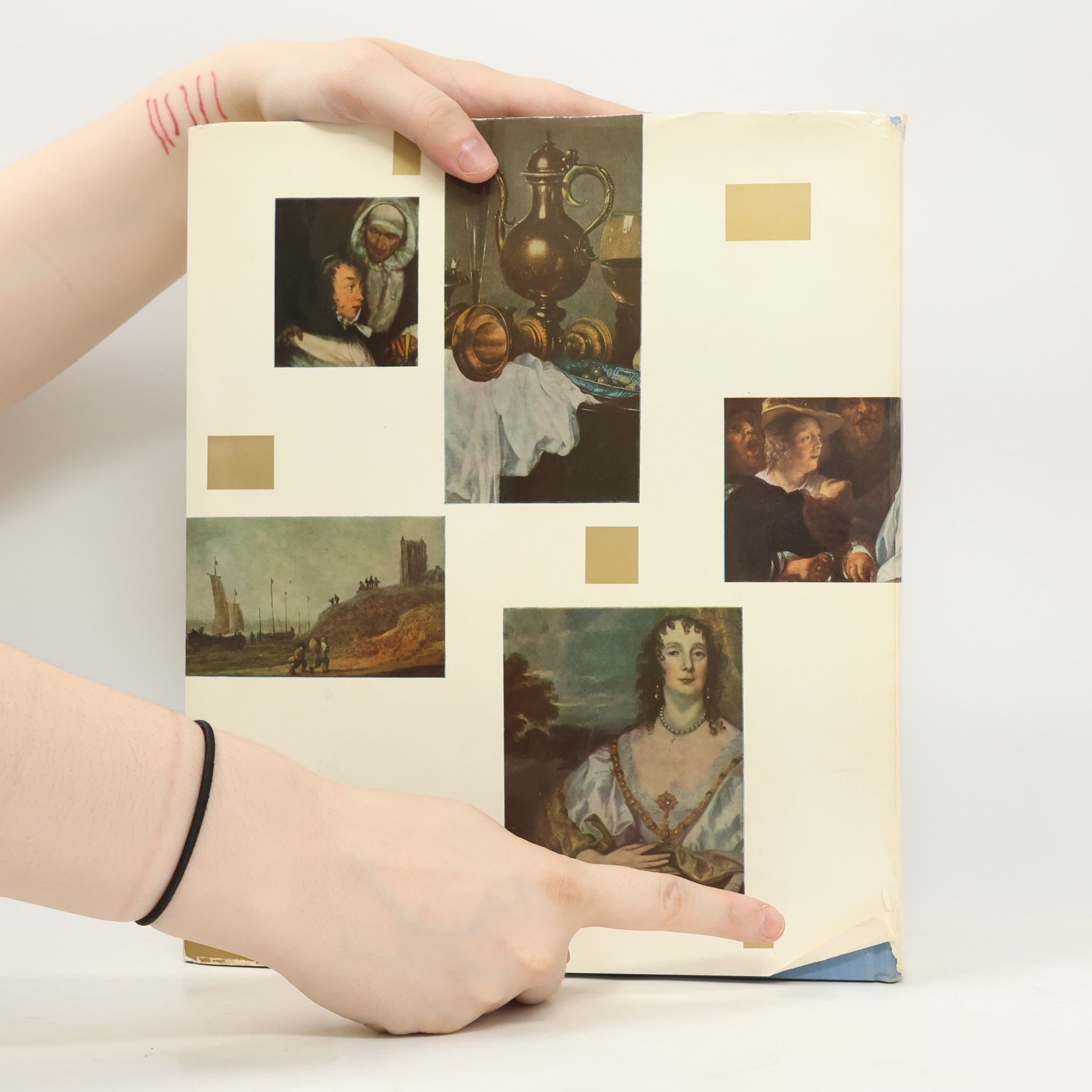 Various authors Obrazy z ermitáže. Flámské a holandské malířství