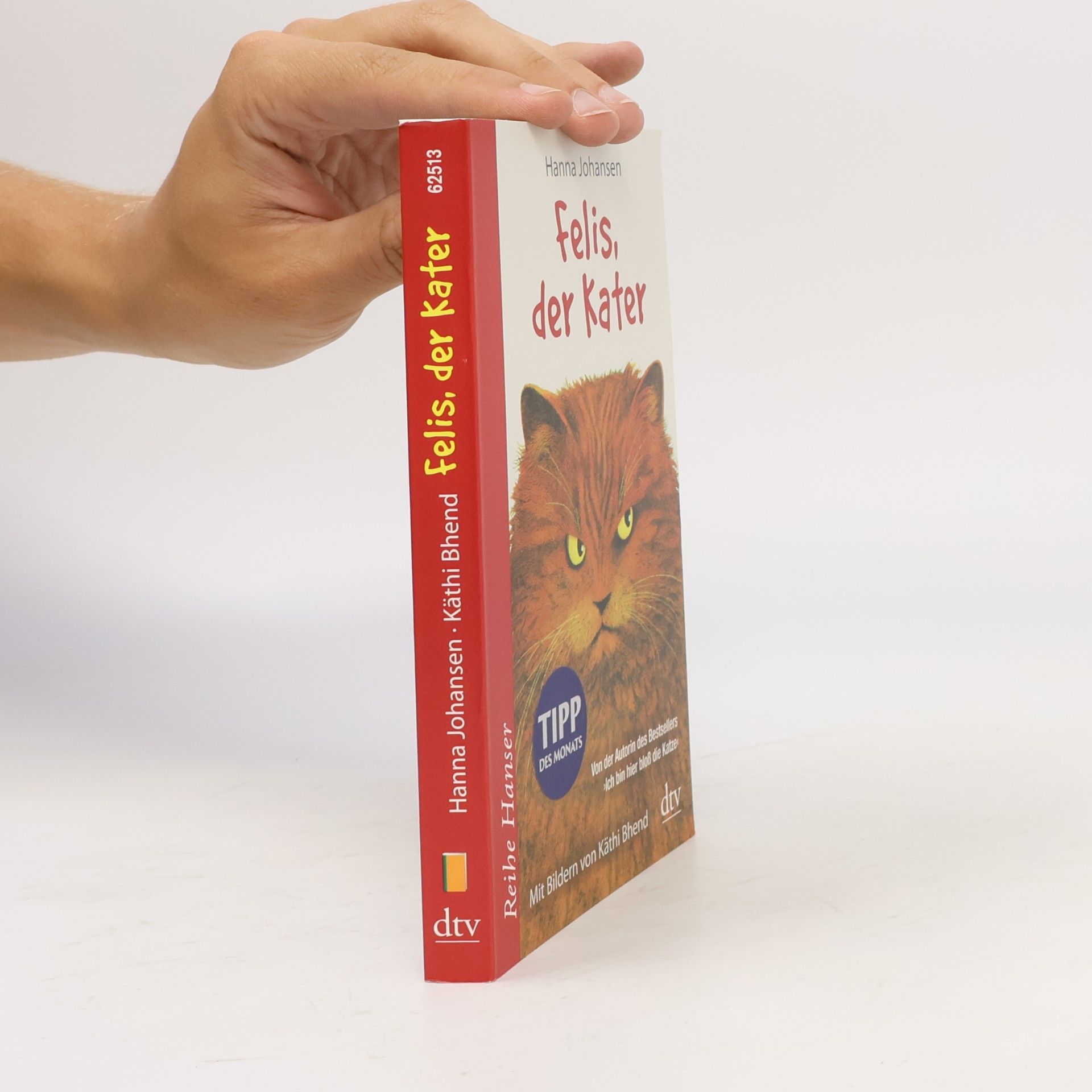 Hanna Johansen Felis, der Kater