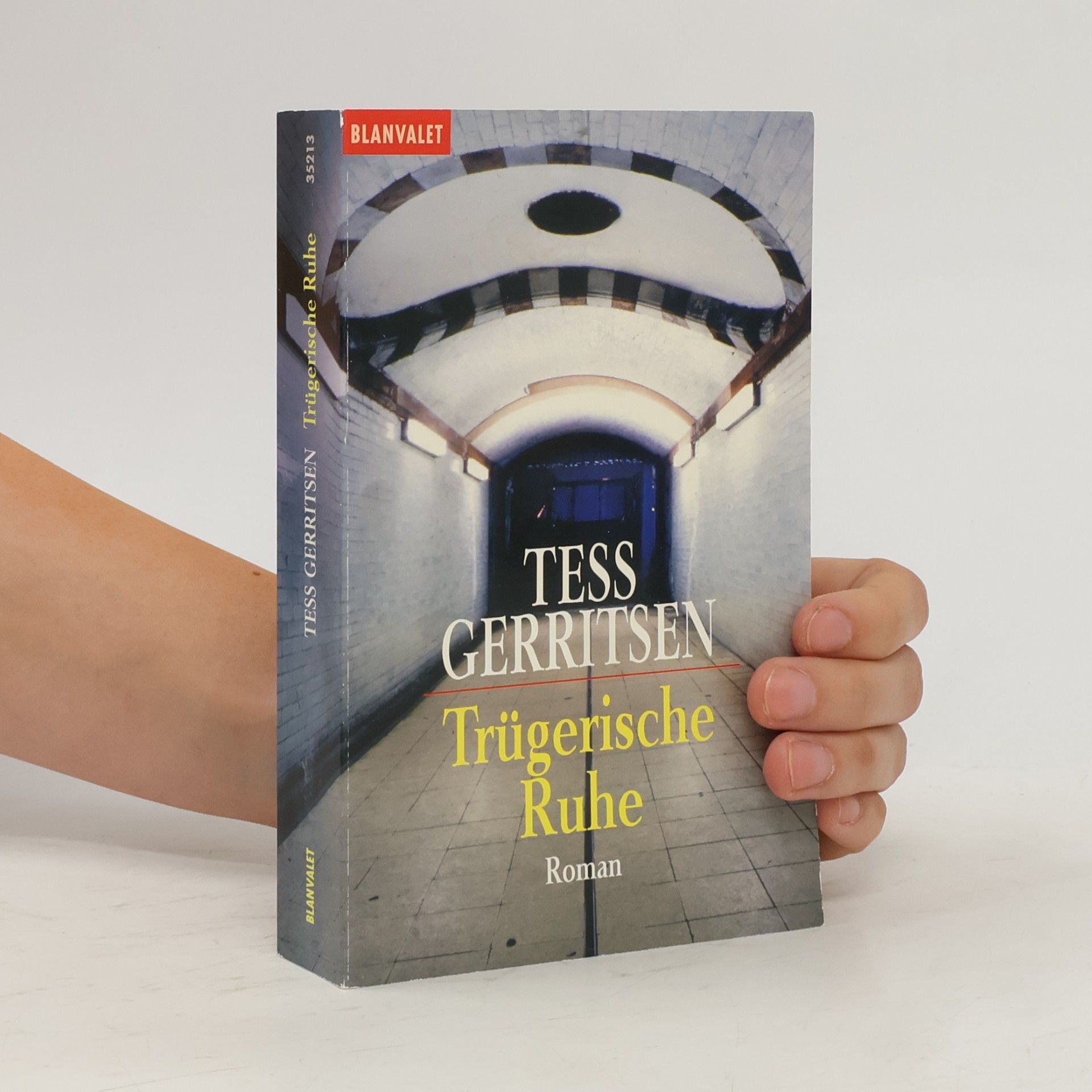 Tess Gerritsen Trügerische Ruhe