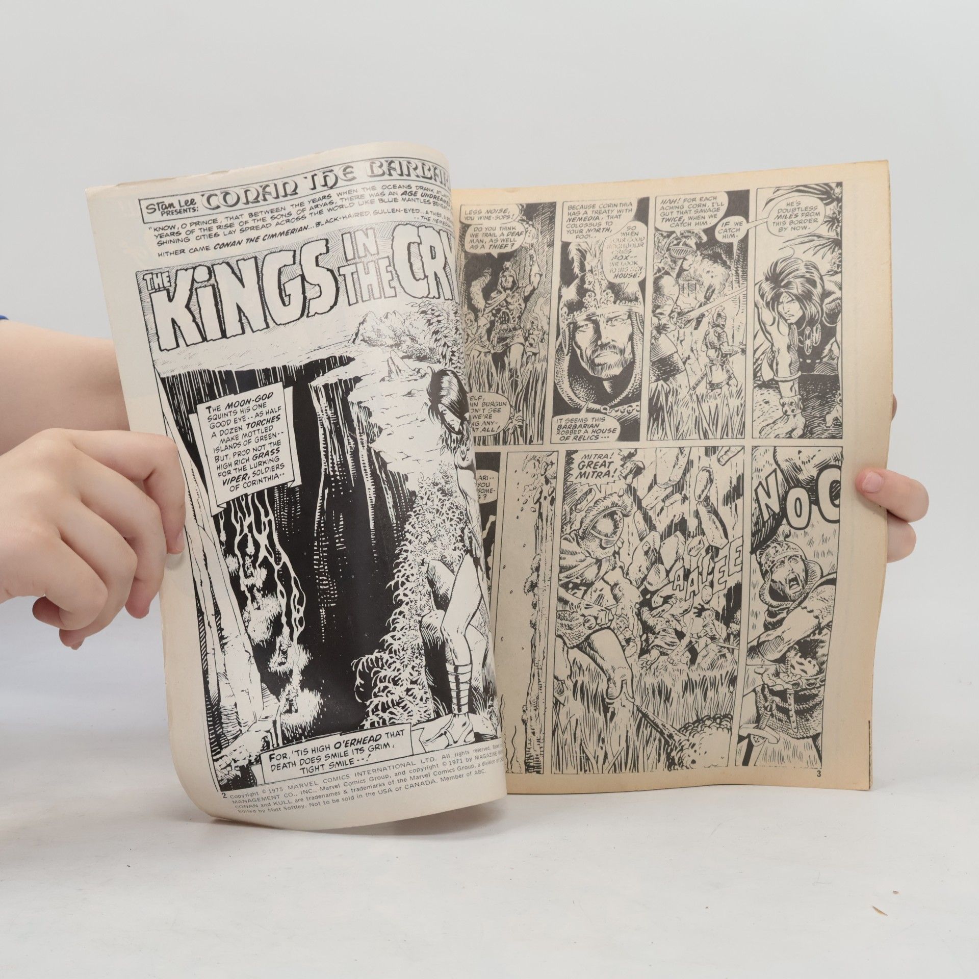 Autorenkollektiv Savage Sword of Conan 8