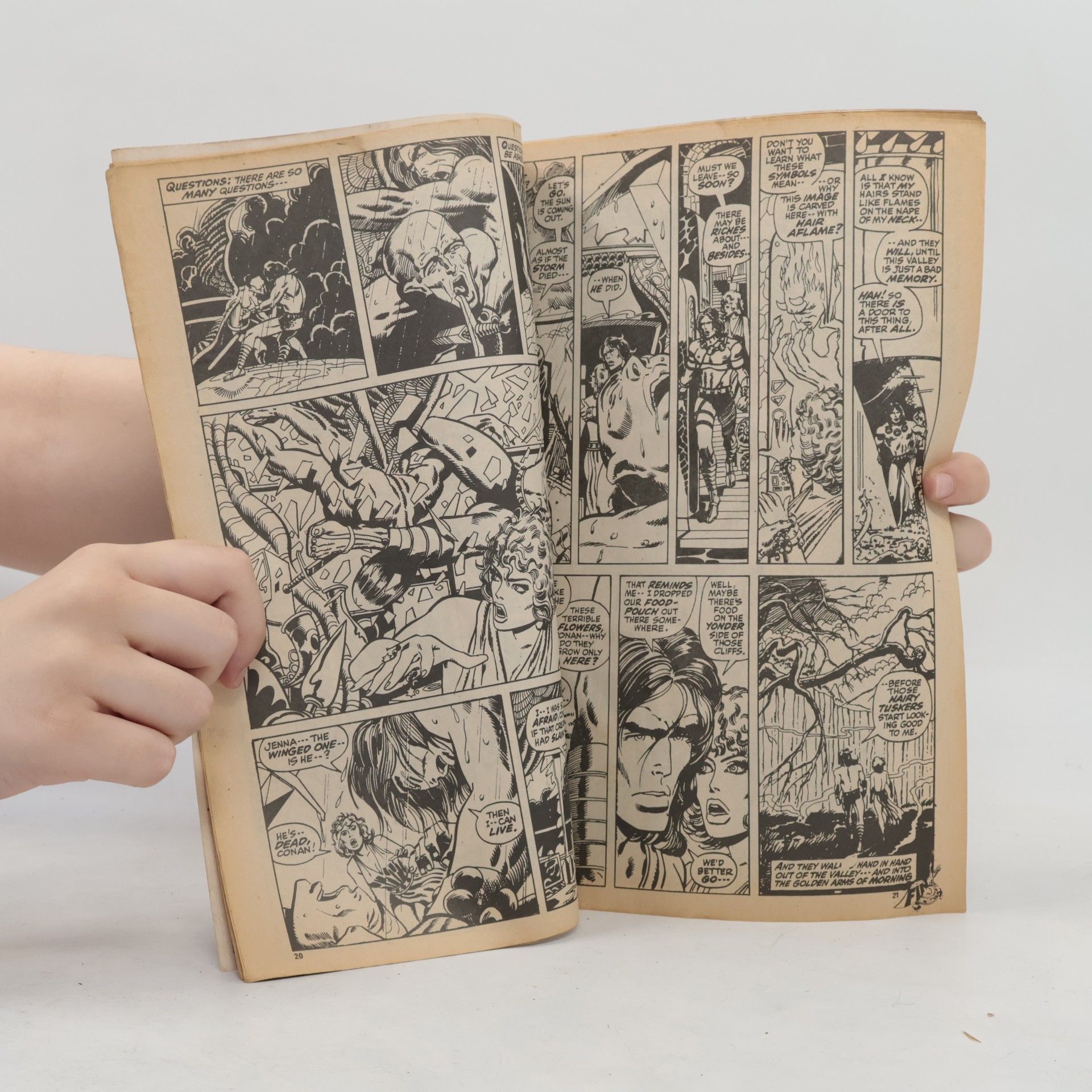 Autorenkollektiv Savage Sword of Conan 9