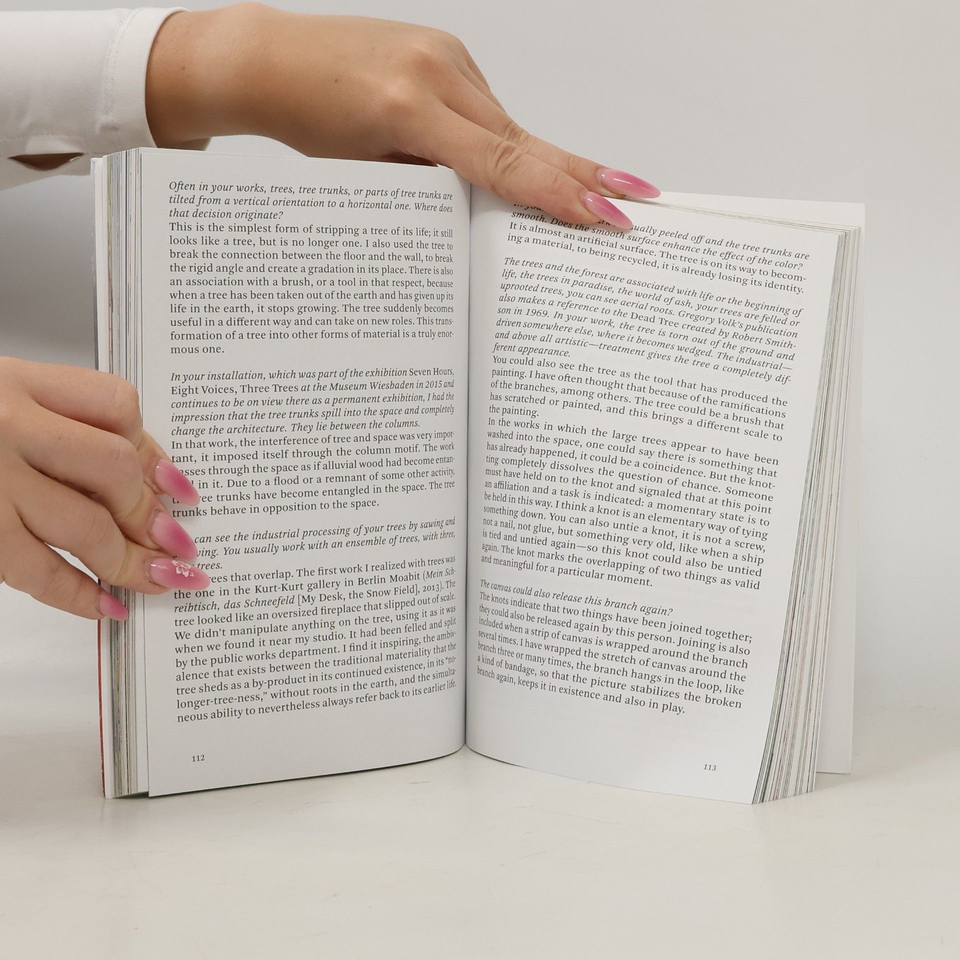 Katharina Grosse Hatje Cantz Text: Katharina Grosse. In Conversation With Klaus Dermutz