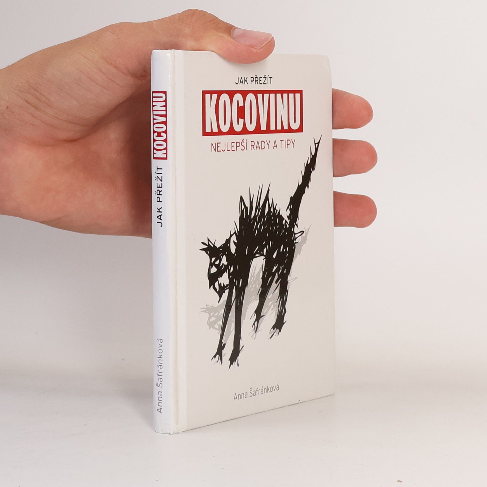 Jak přežít kocovinu: Nejlepší rady a tipy