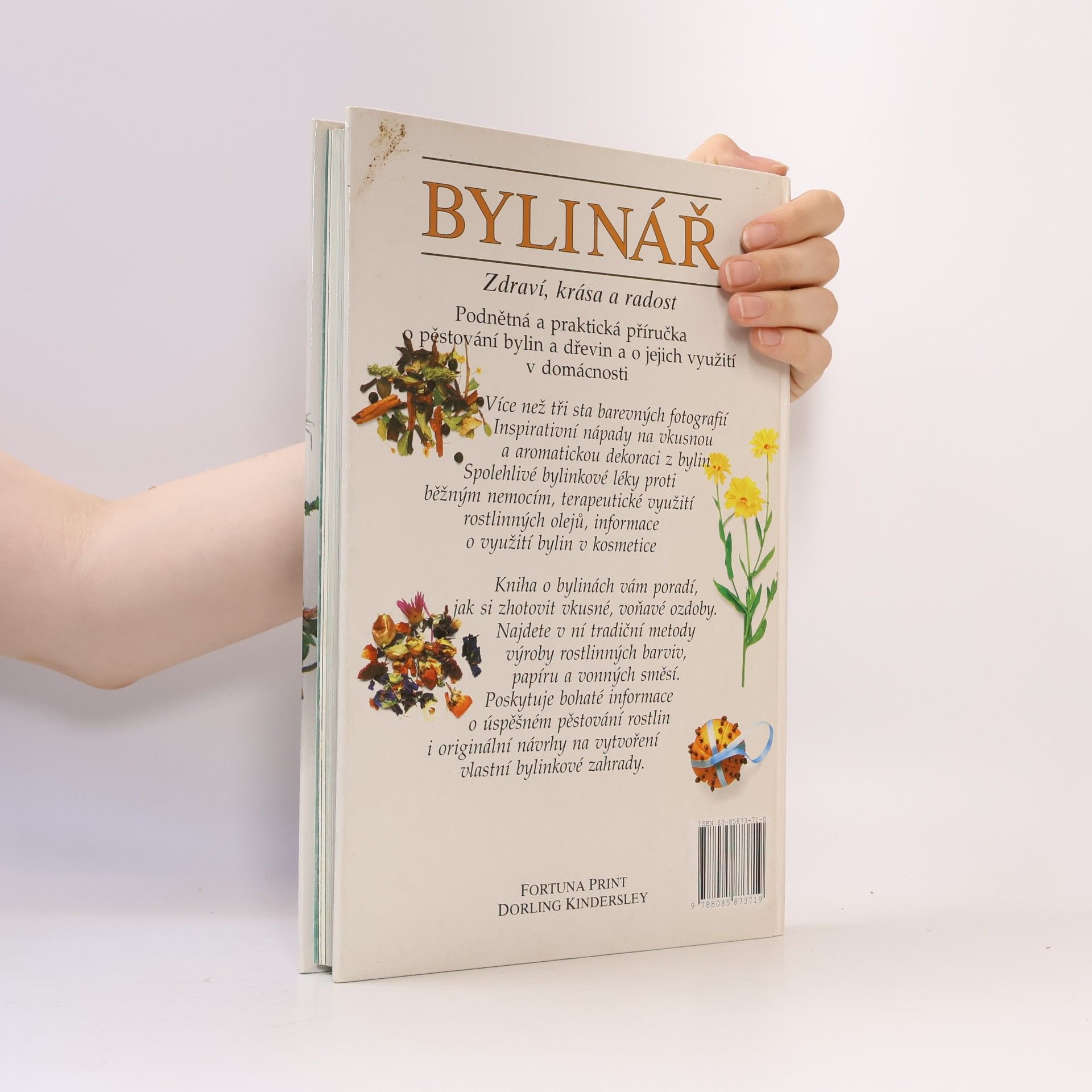 Lesley Bremness Bylinář: zdraví, krása a radost