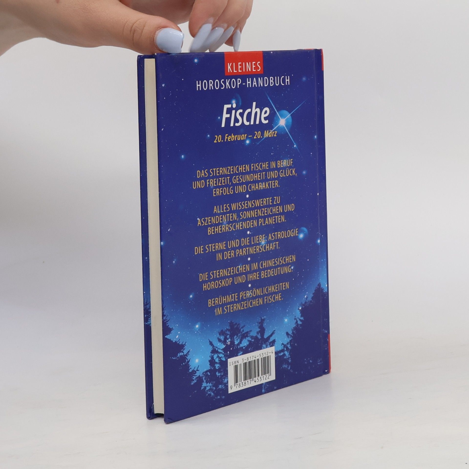 Peter Ripota Kleines Horoskop-Handbuch