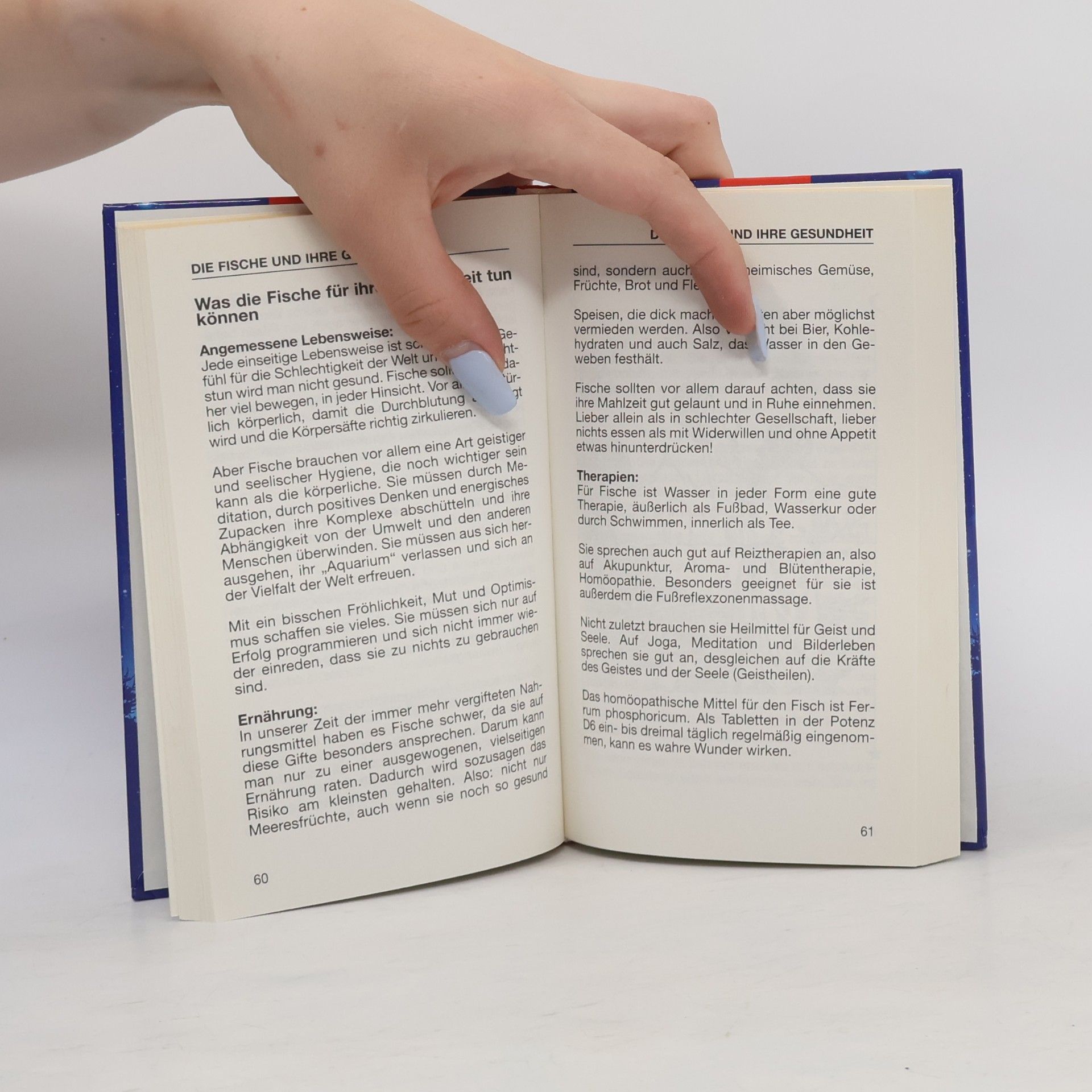 Peter Ripota Kleines Horoskop-Handbuch