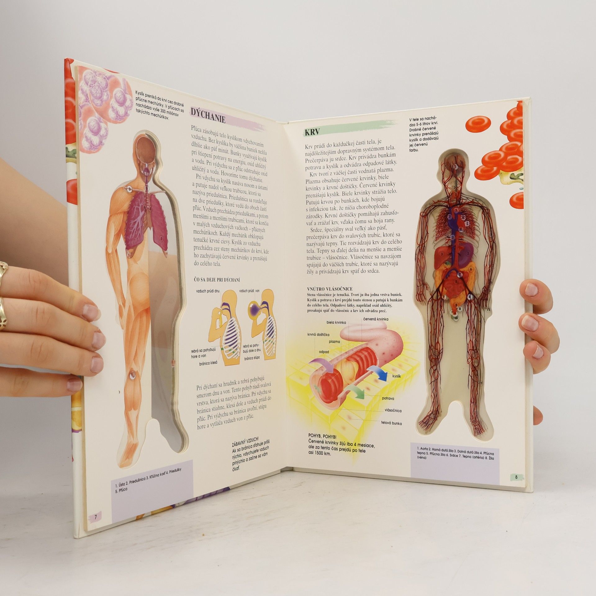 Autores varios Ľudské telo