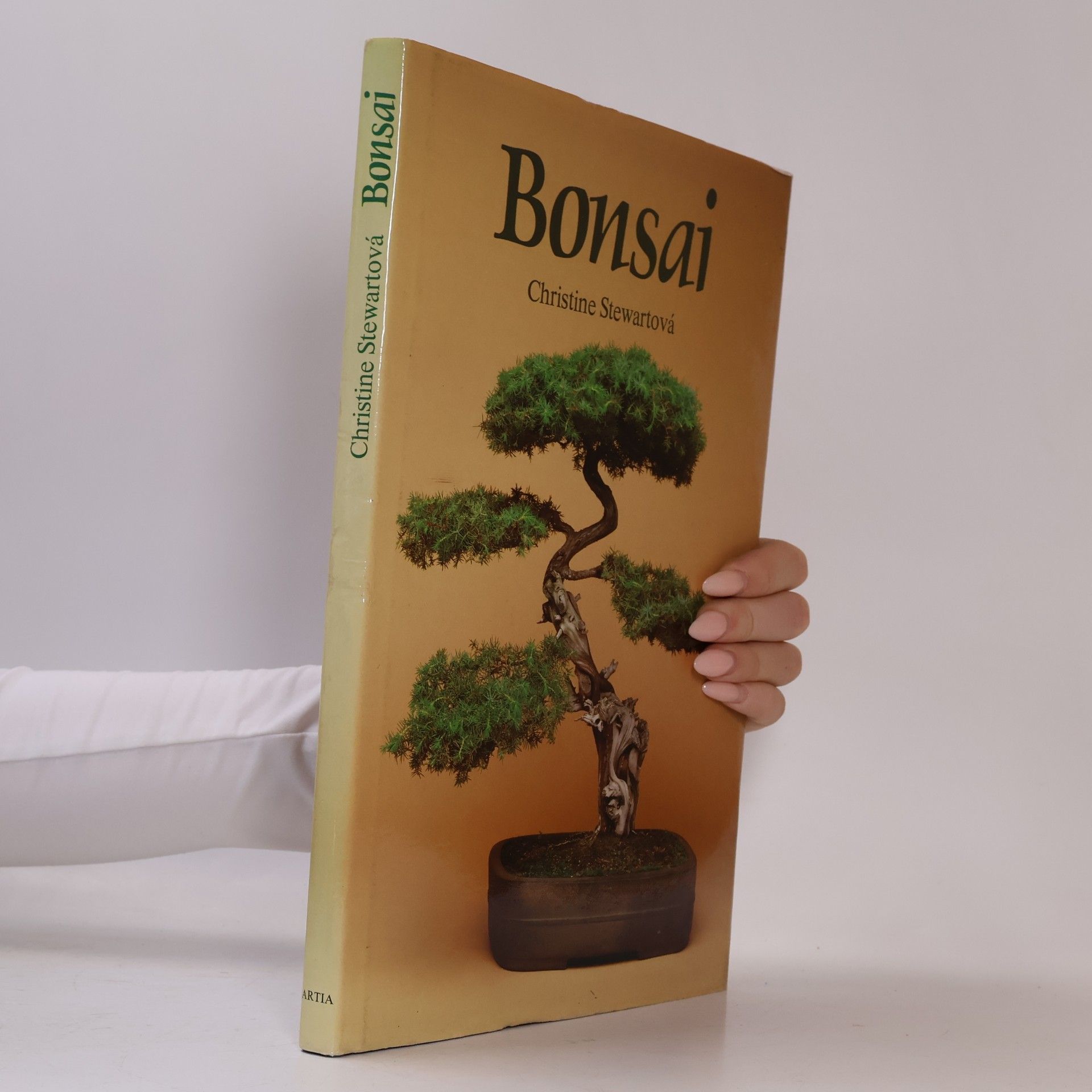 Christine Stewart Bonsai