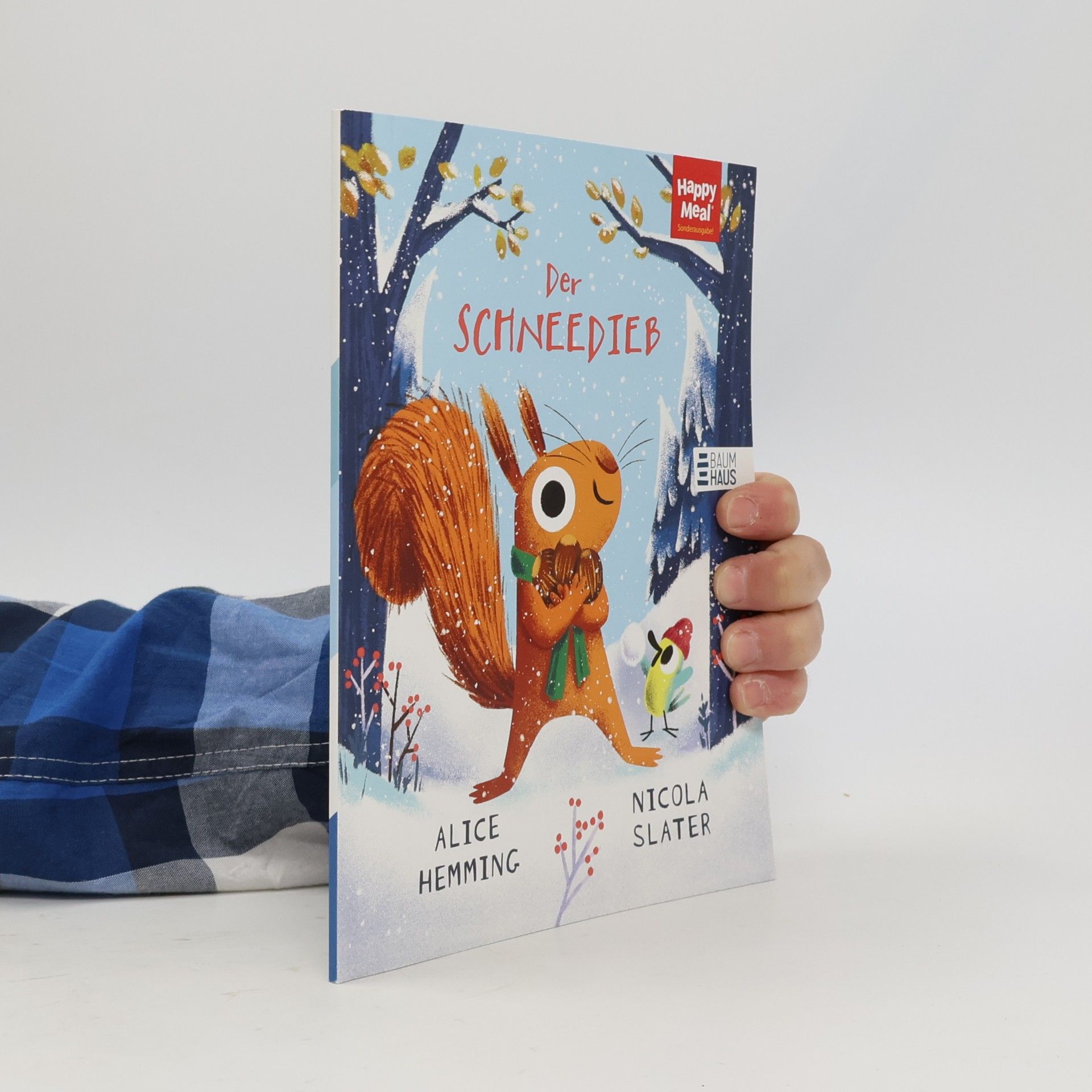 Alice Hemming Der Schneedieb