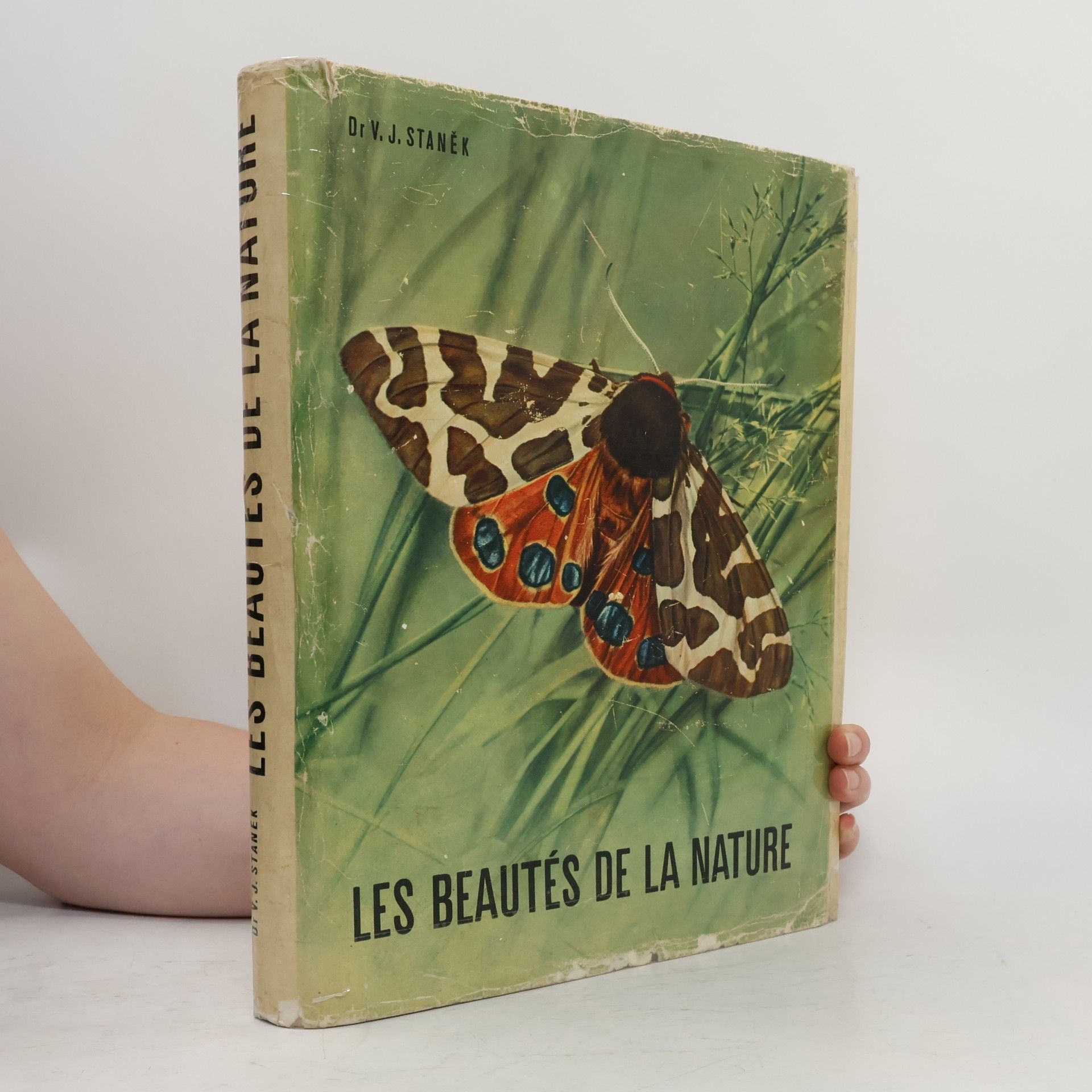 Les beautés de la nature