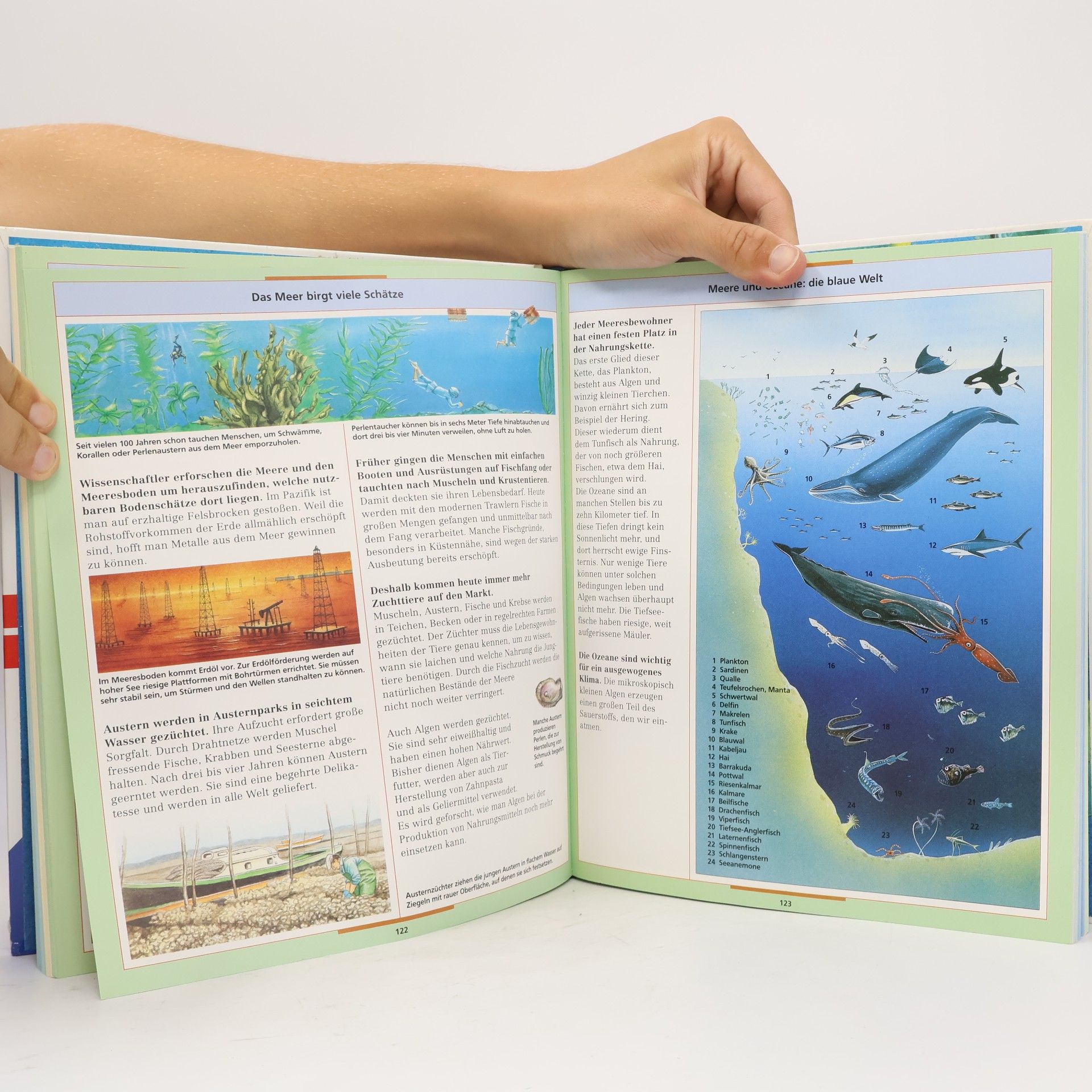 Autorenkollektiv Farbige Welt 2. Natur und Tiere.