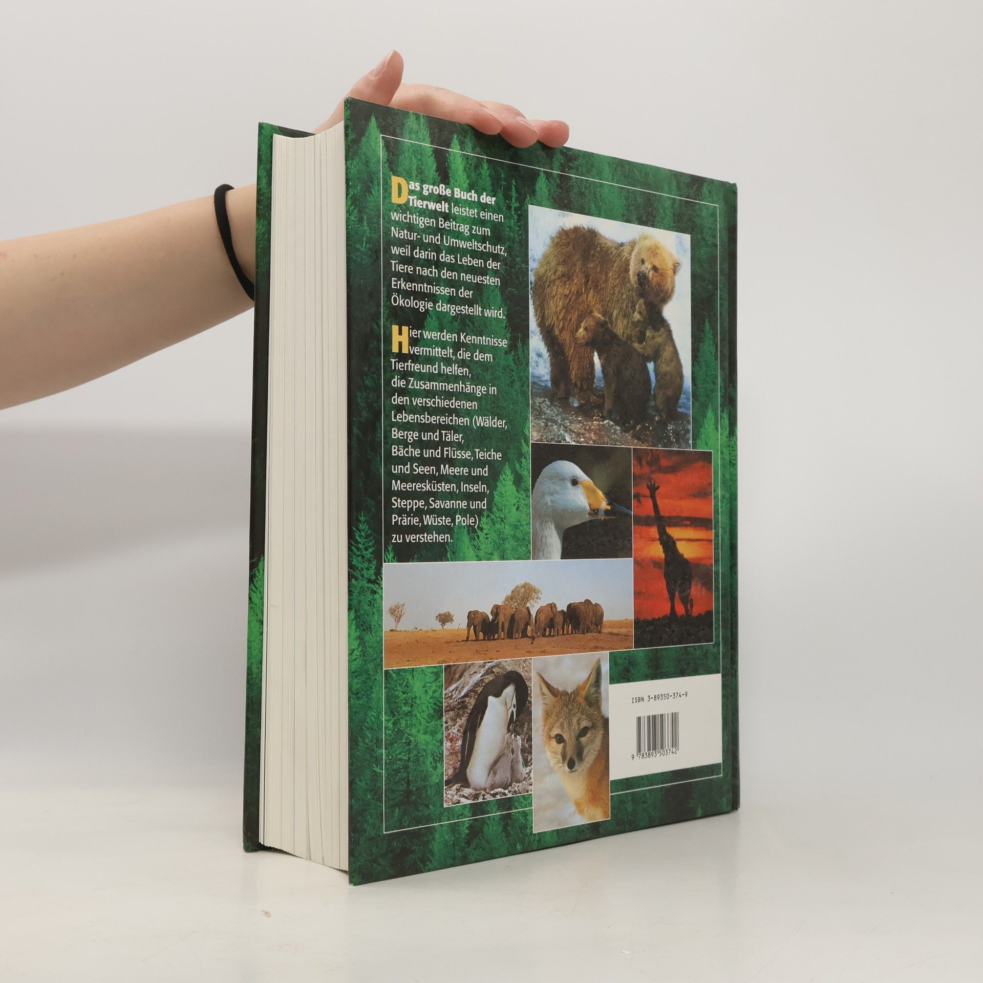Siegfried Schmitz Das große Buch der Tierwelt. Der farbige Naturführer durch alle Kontinente