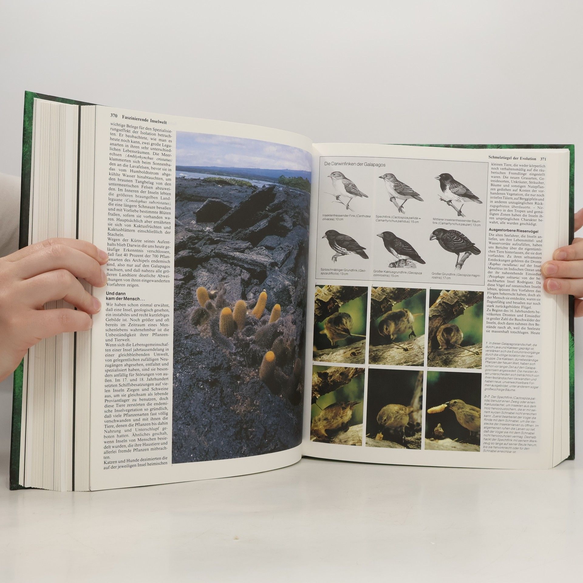 Siegfried Schmitz Das große Buch der Tierwelt. Der farbige Naturführer durch alle Kontinente