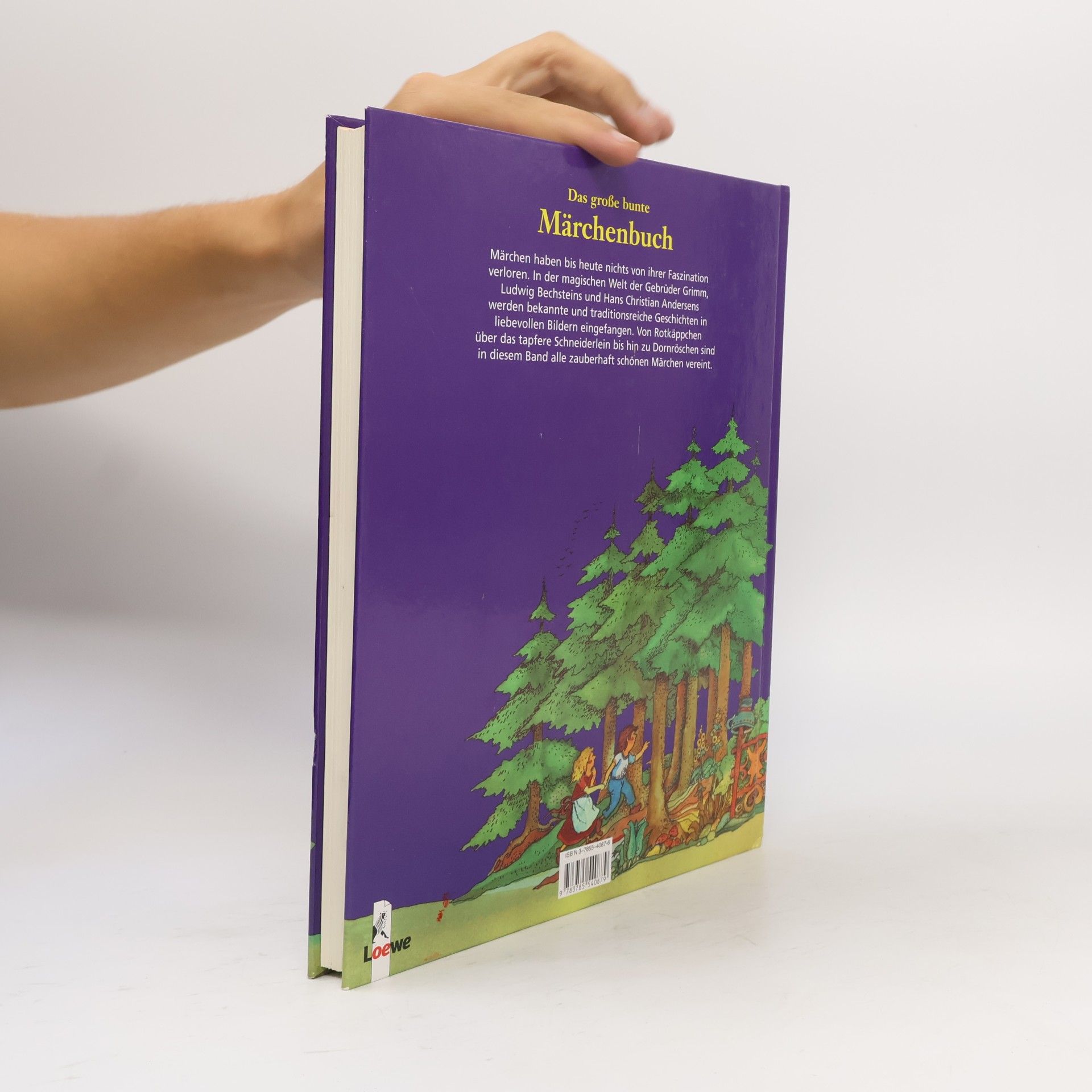 Kolektiv autorů Das große bunte Märchenbuch