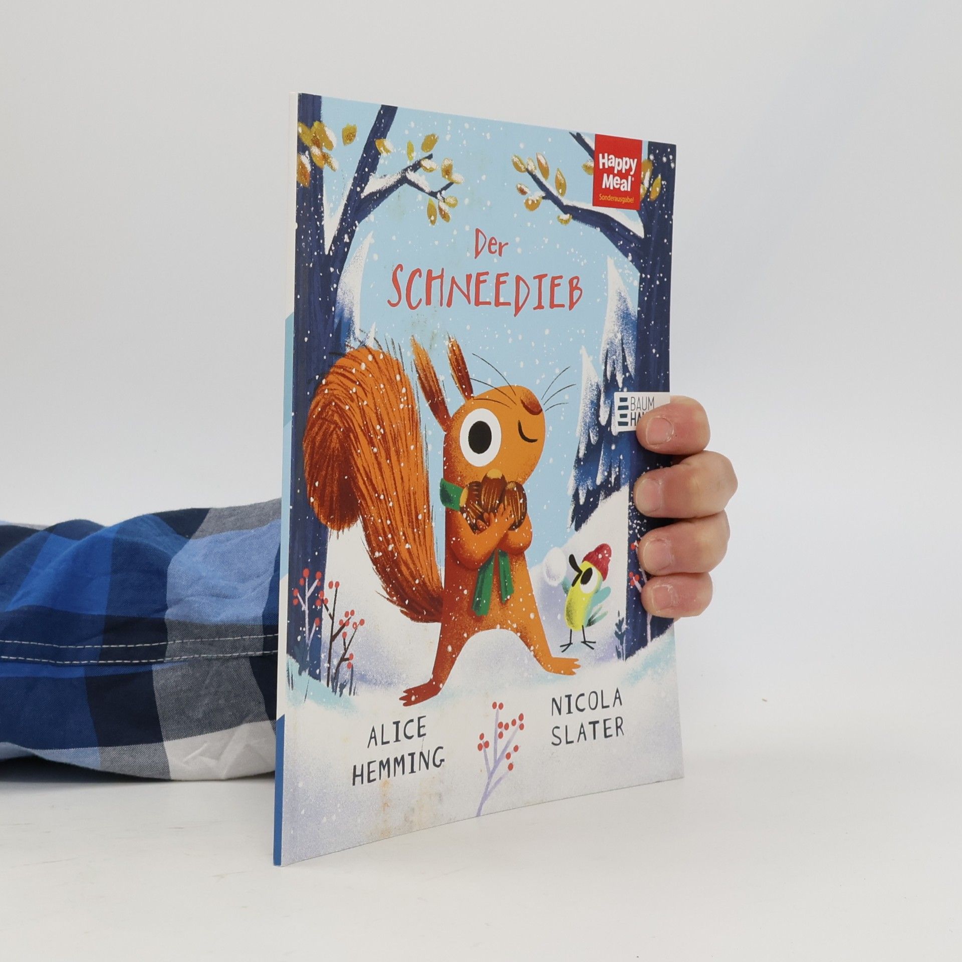 Alice Hemming Der Schneedieb