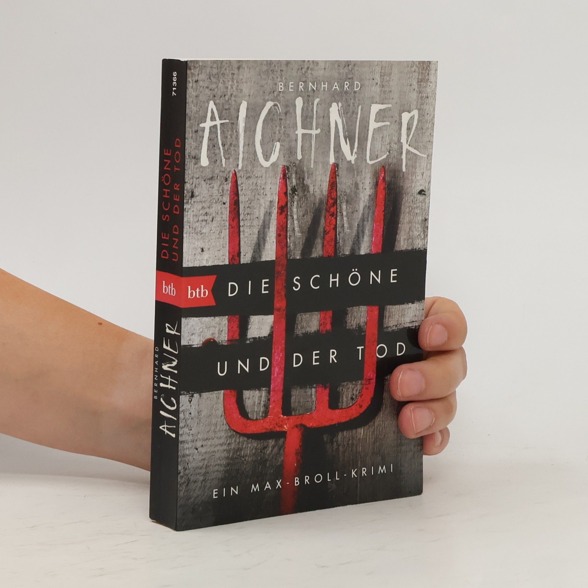 Bernhard Aichner Die Schöne und der Tod