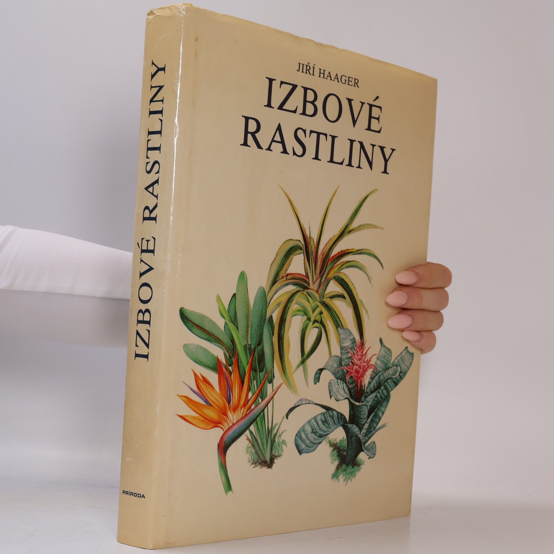 Jiří R. Haager Izbové rastliny
