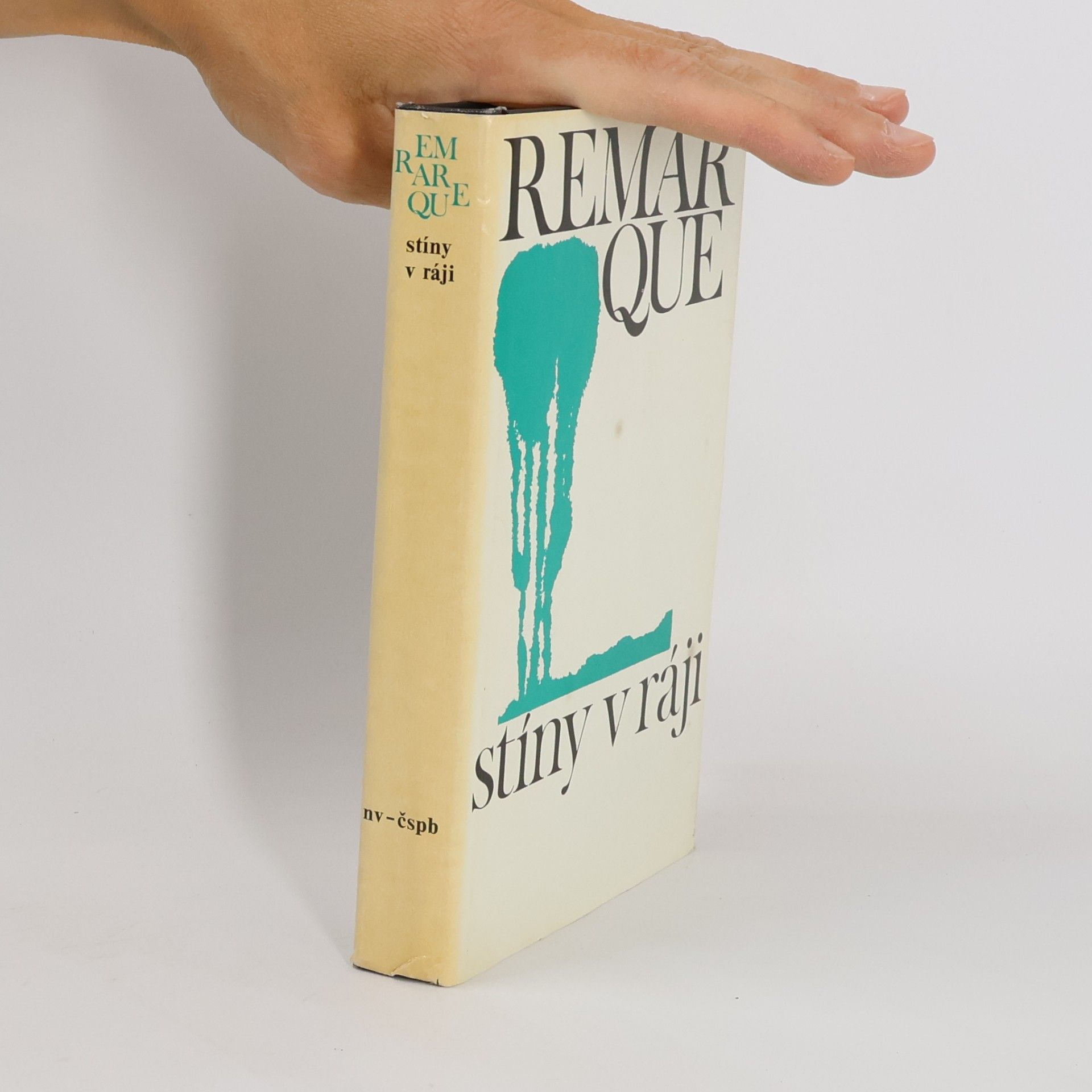 Erich Maria Remarque Stíny v ráji