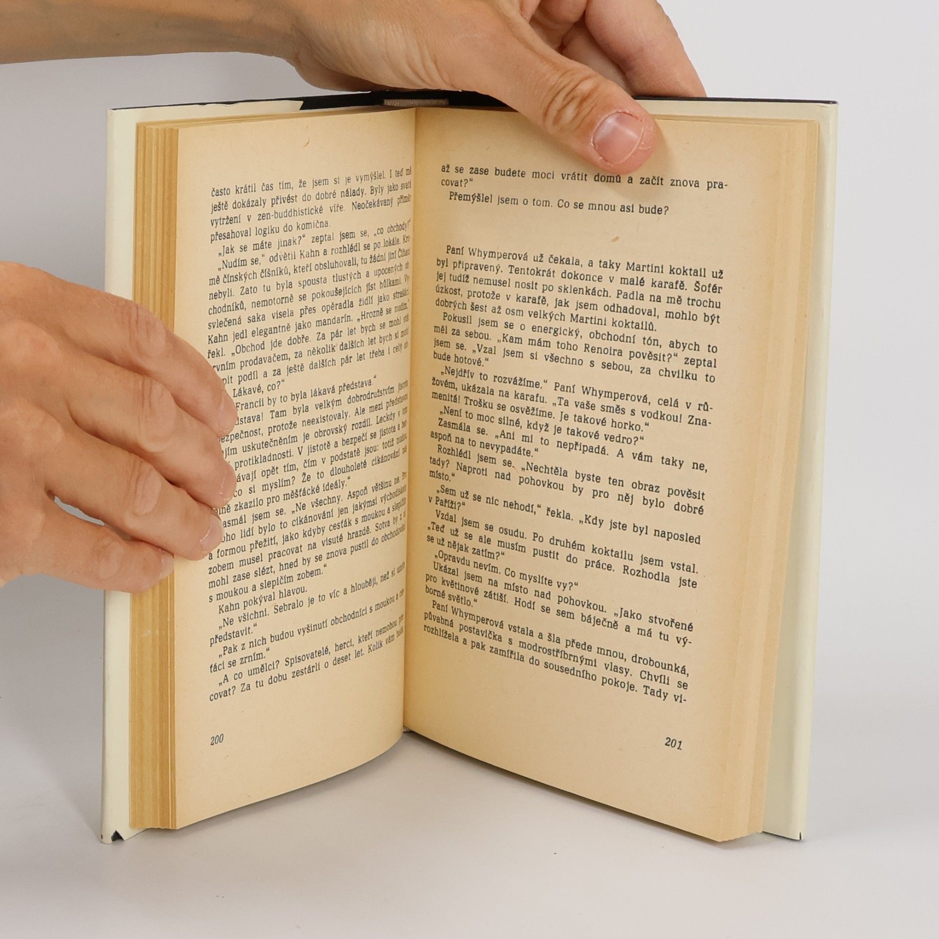 Erich Maria Remarque Stíny v ráji