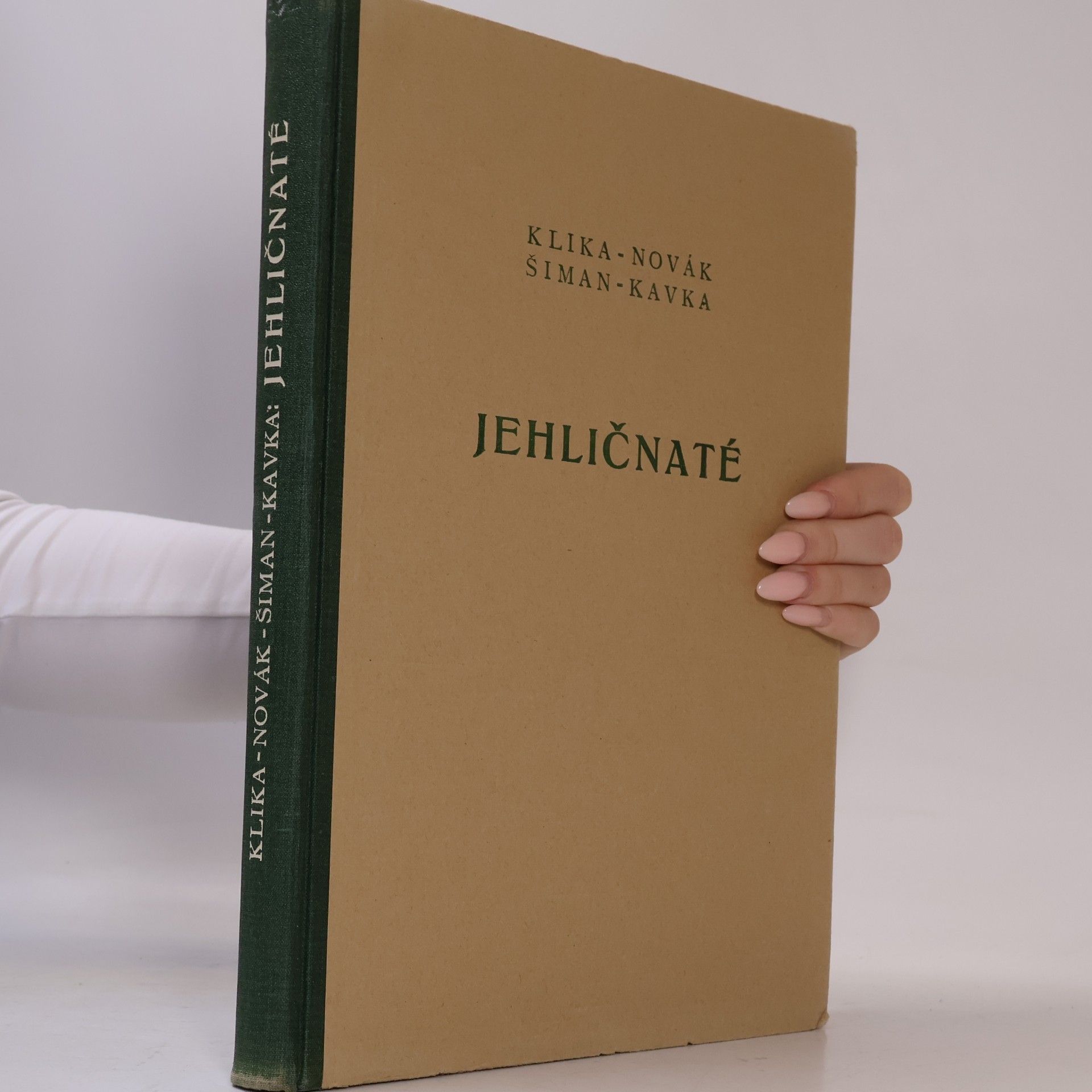 Kolektiv autorů Jehličnaté