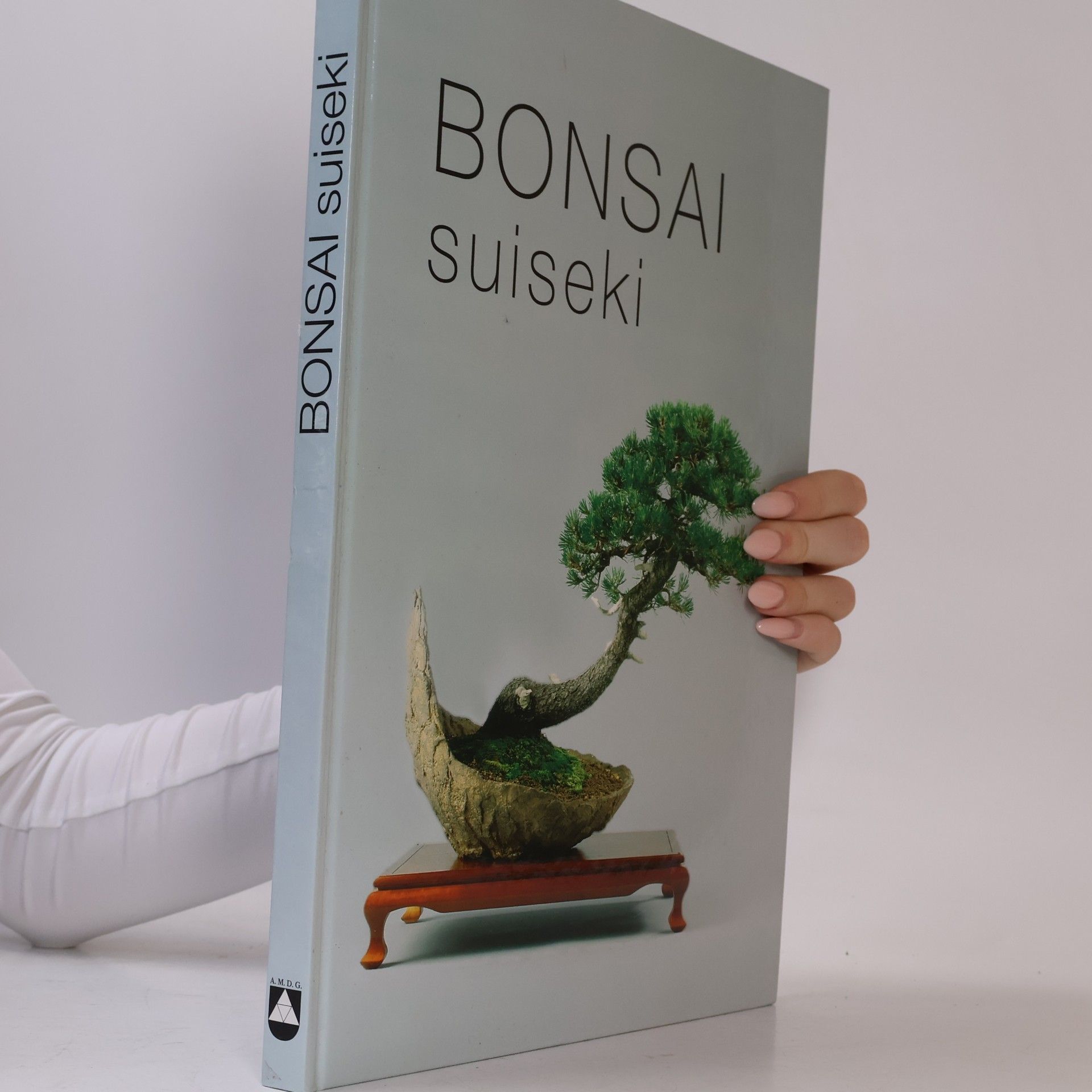 Josef Svatopluk Matějka Bonsai, suiseki