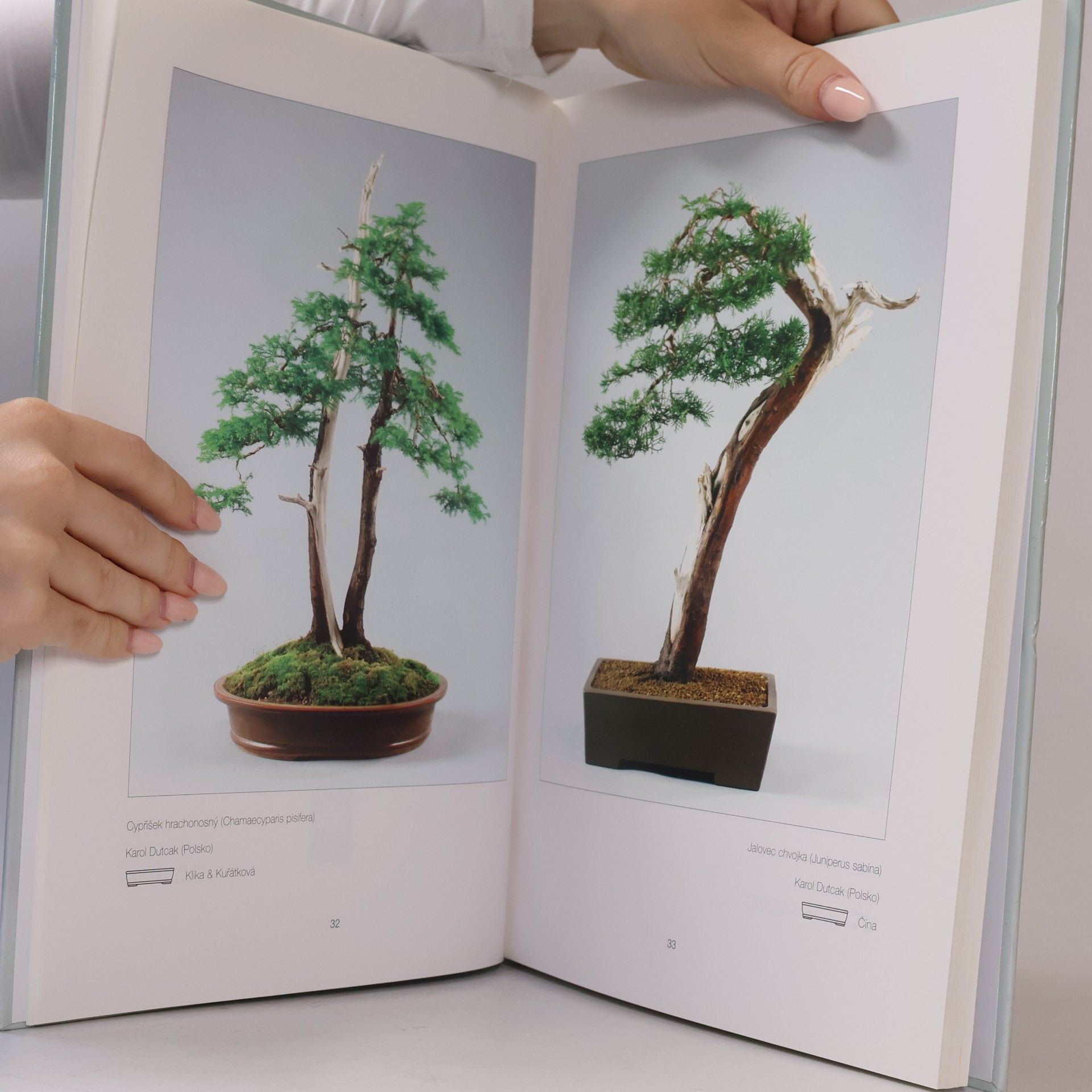 Josef Svatopluk Matějka Bonsai, suiseki