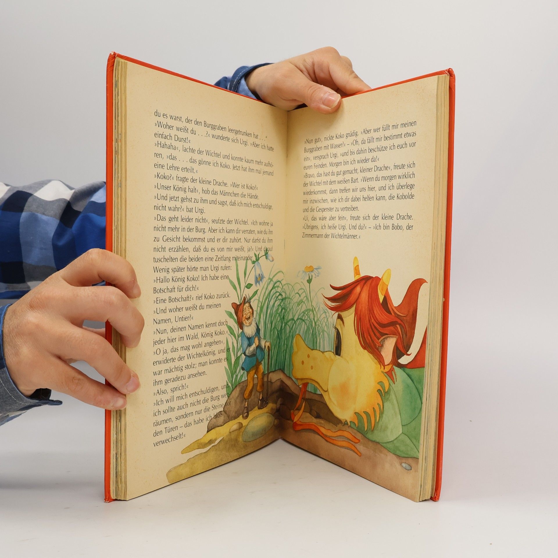Anne Suess Der kleine Drache und seine Freunde