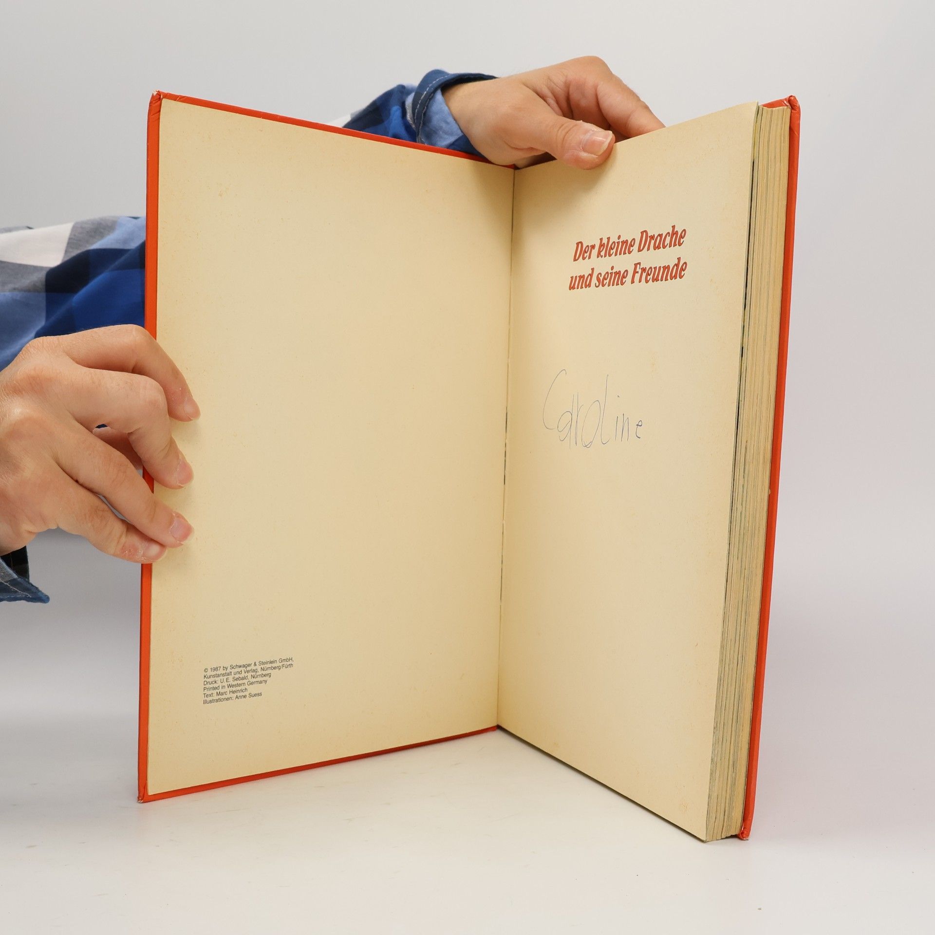 Anne Suess Der kleine Drache und seine Freunde