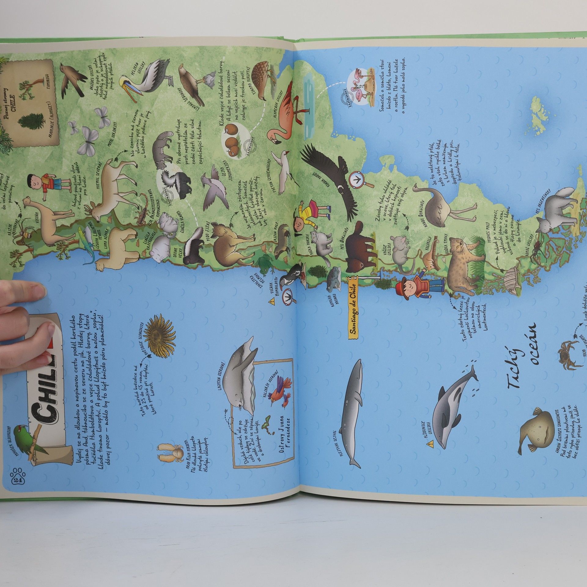 Paola Grimaldi Atlas zvířat celého světa