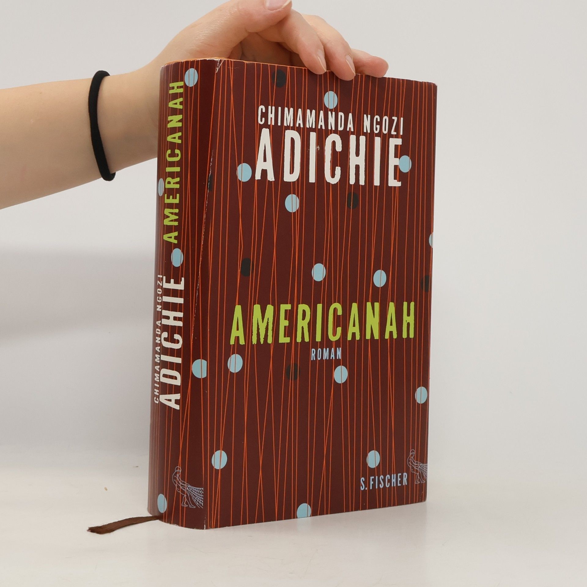Chimamanda Ngozi Adichie Americanah