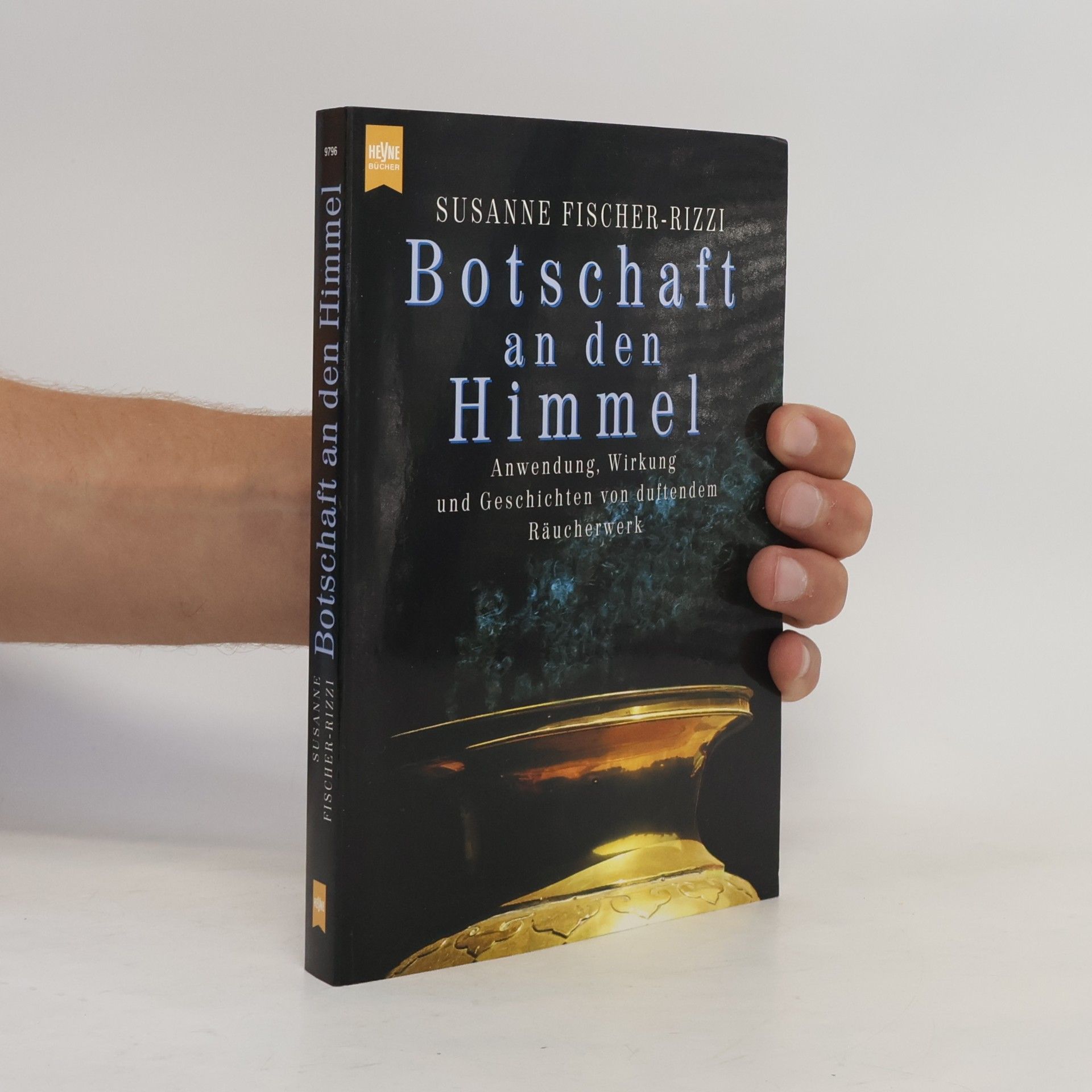 Susanne Fischer-Rizzi Botschaft an den Himmel