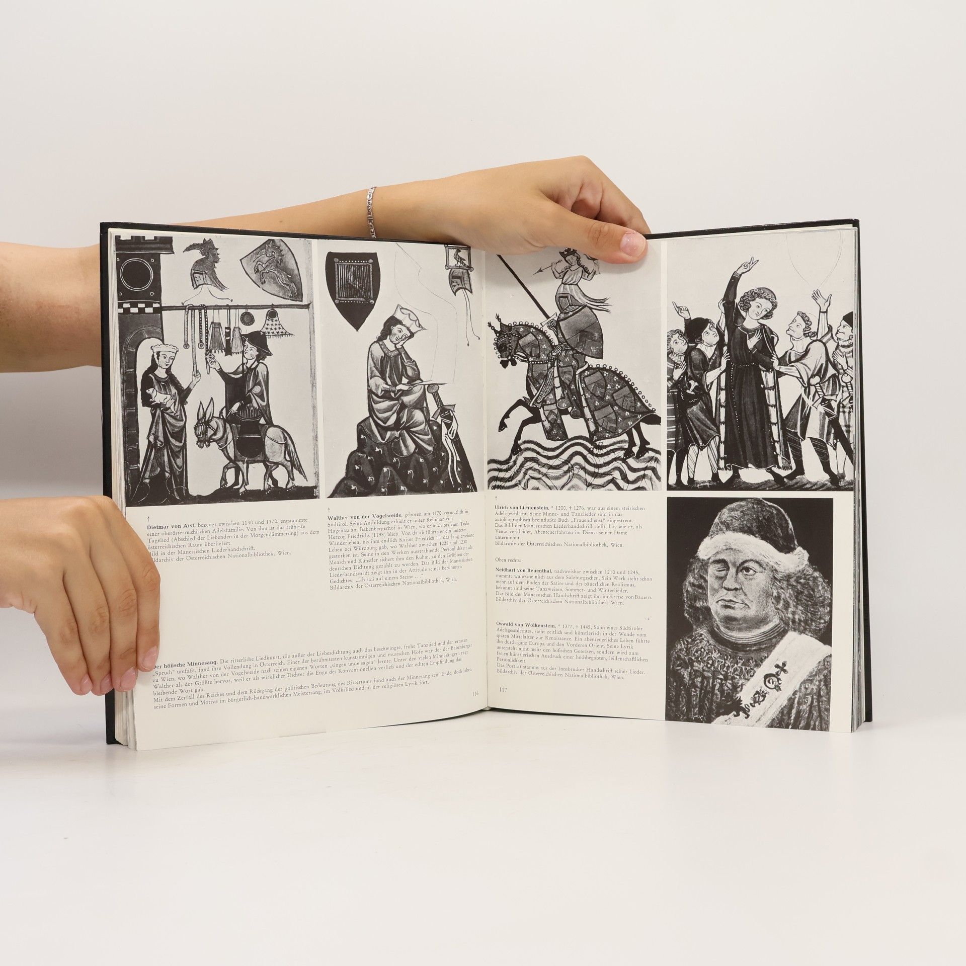 Autores varios Illustrierte Geschichte Österreichs