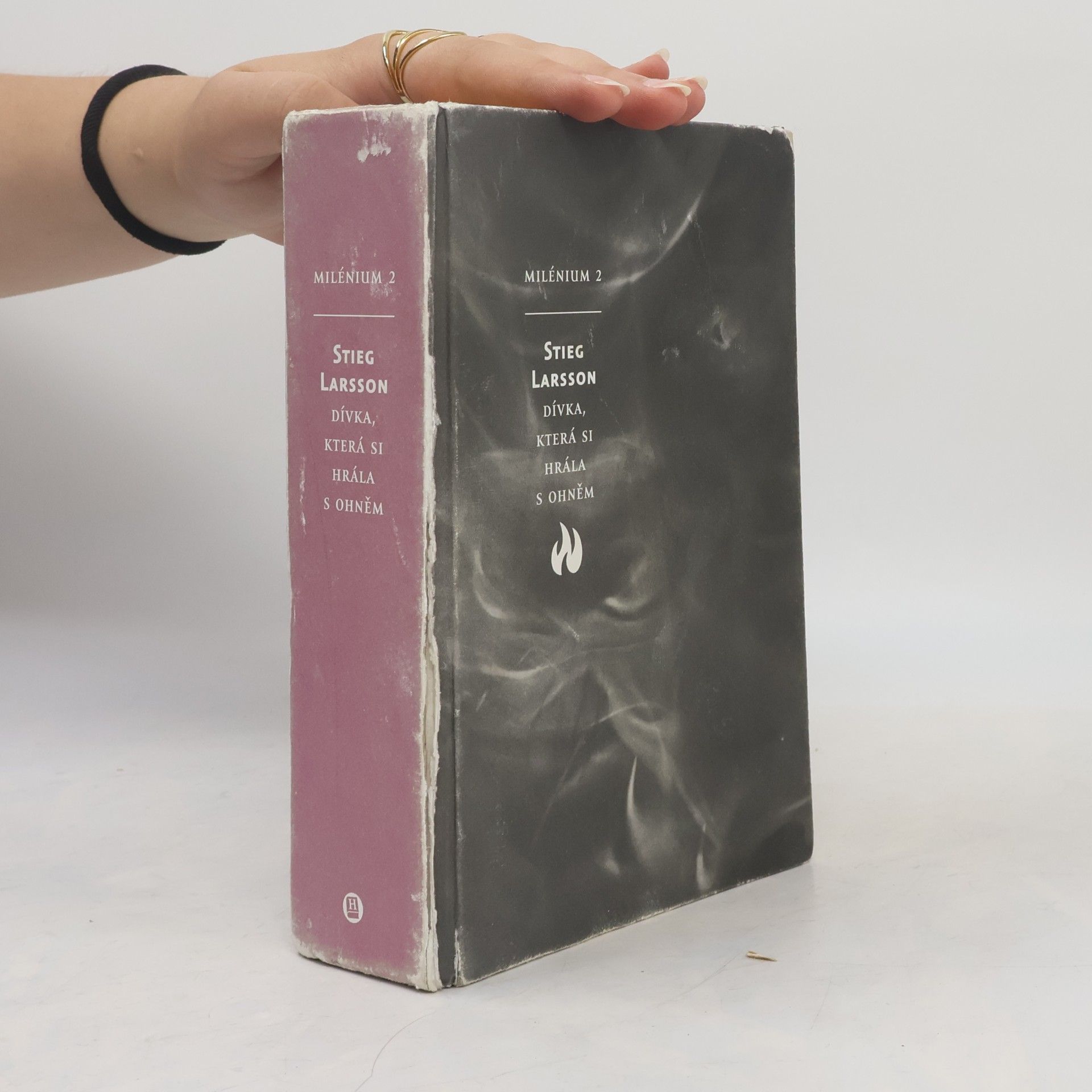 Stieg Larsson Dívka, která si hrála s ohněm