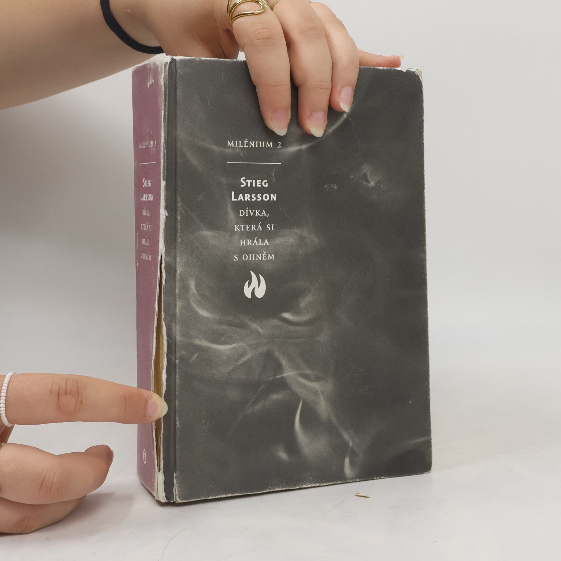 Stieg Larsson Dívka, která si hrála s ohněm