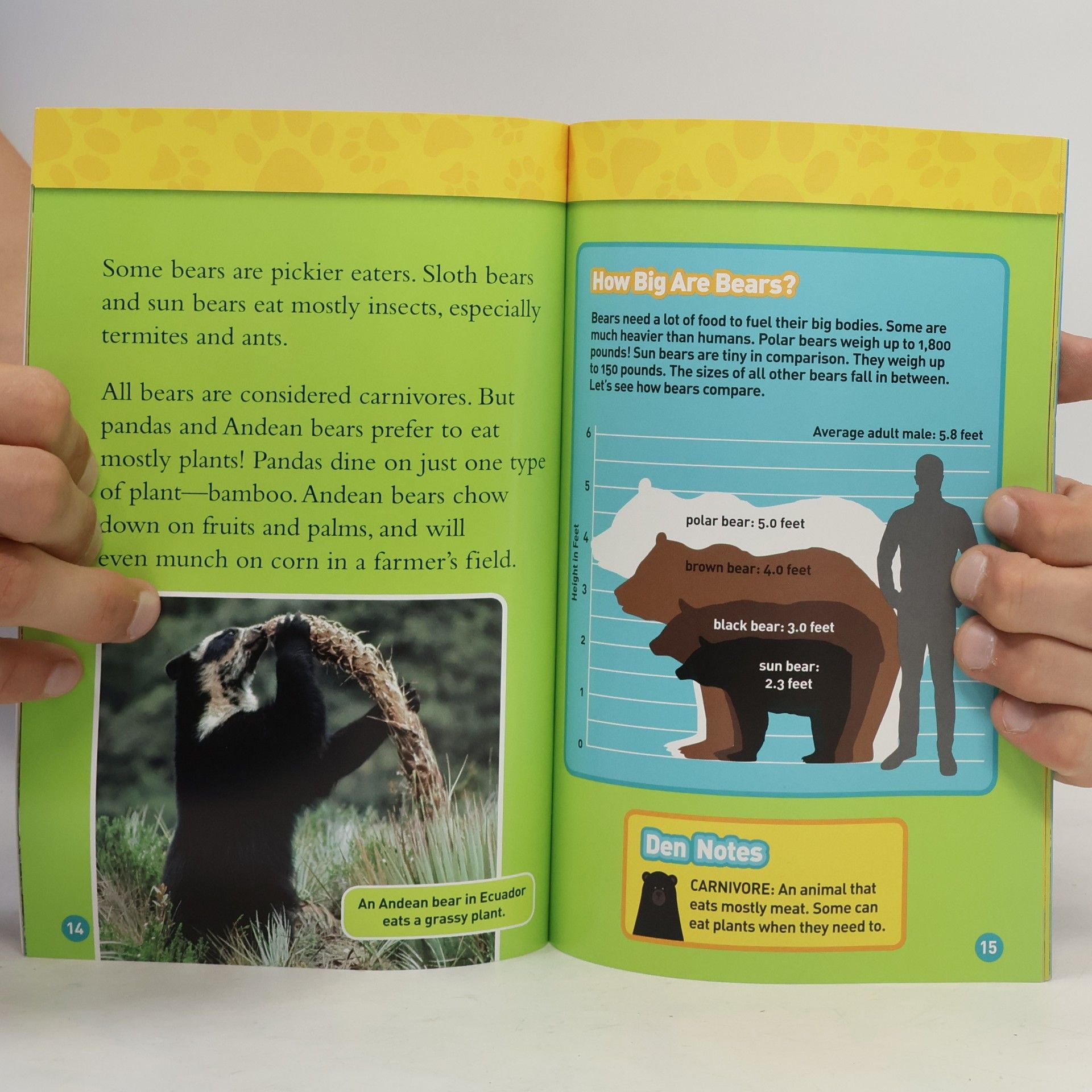 Elizabeth Carney National Geographic Kids - 3: Bears