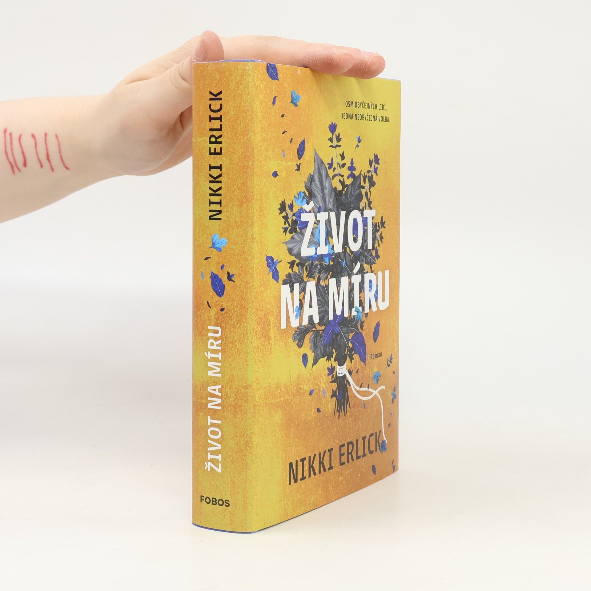 Nikki Erlick Život na míru