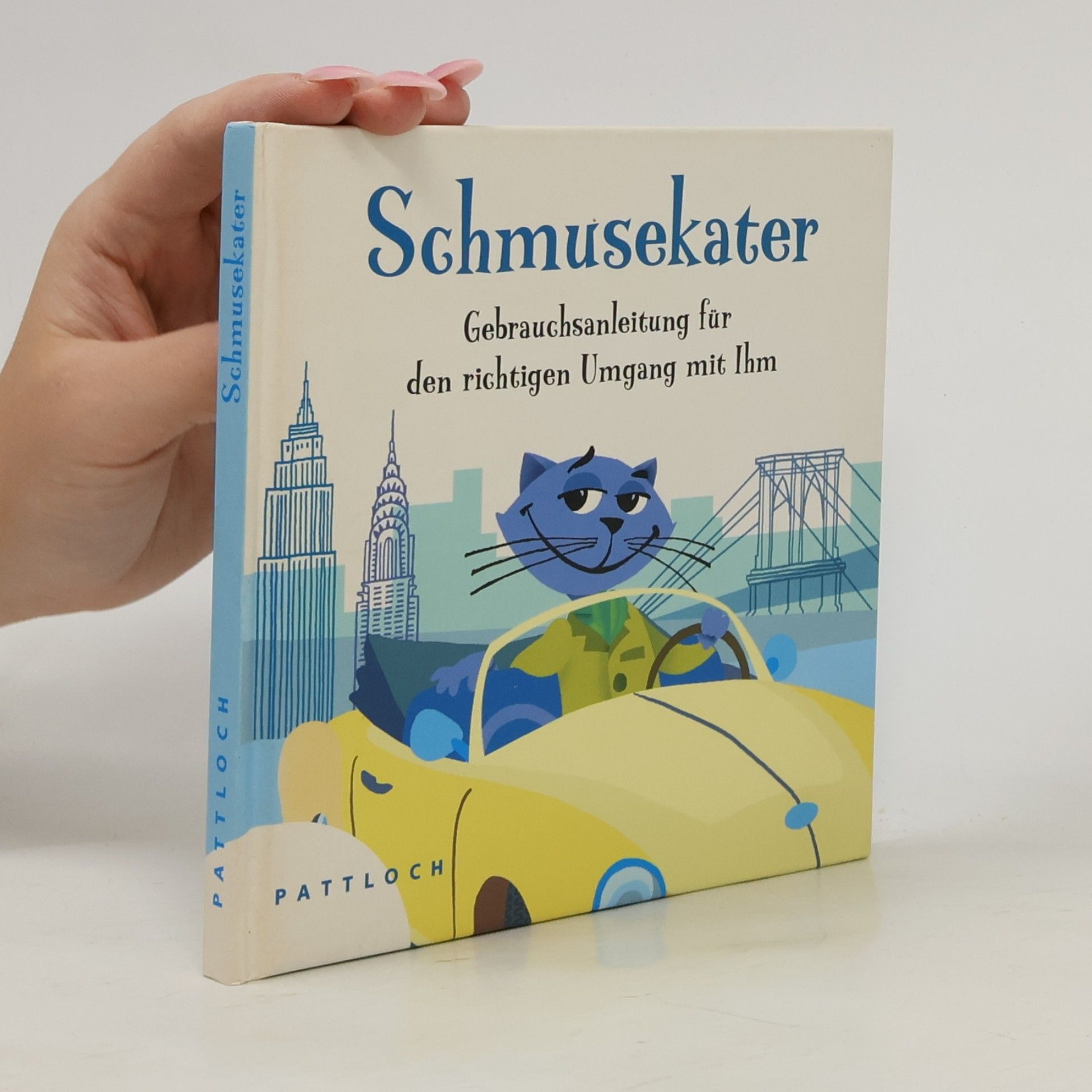 Schmusekater. Gebrauchsanleitung für den richtigen Umgang mit ihm