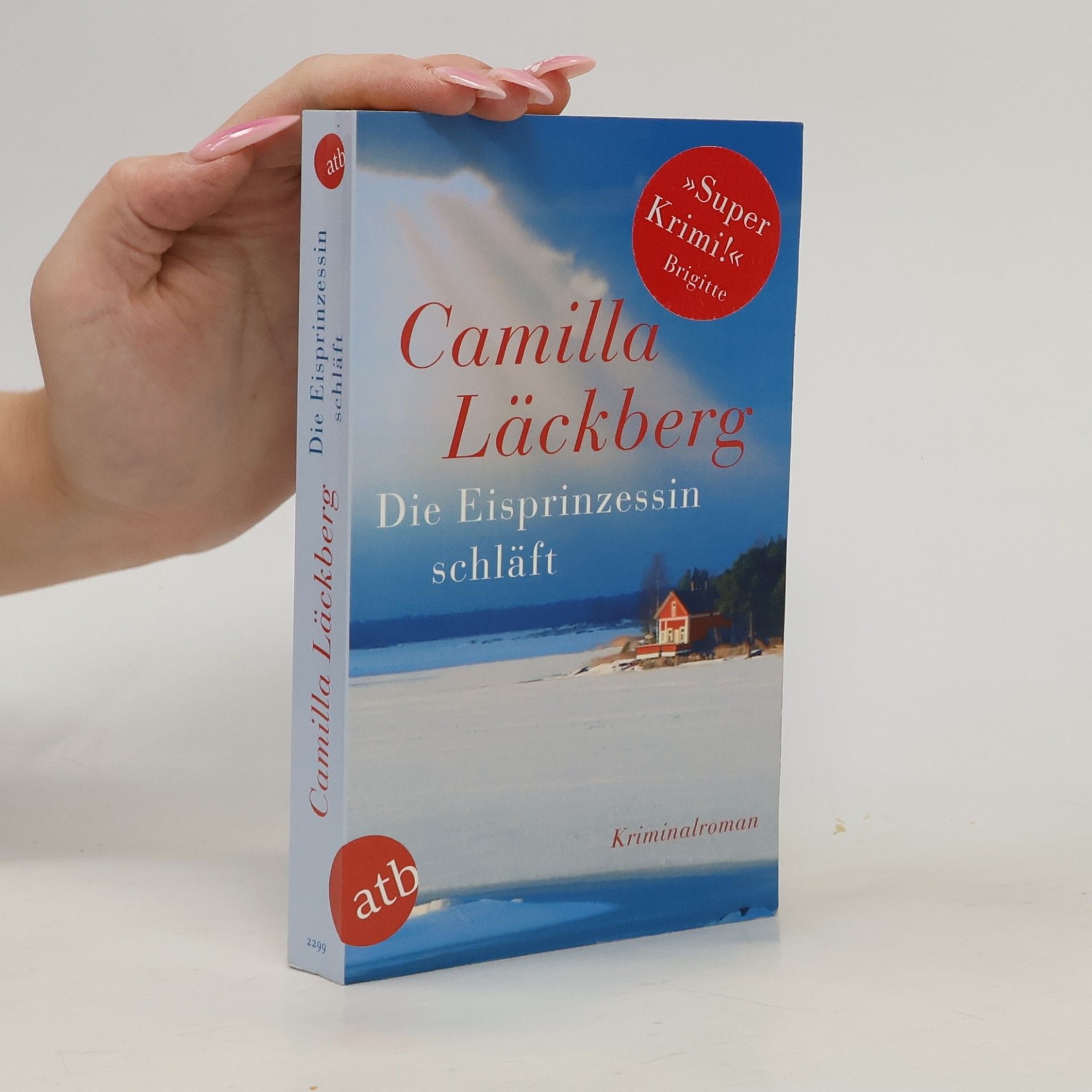 Camilla Läckberg Die Eisprinzessin schläft
